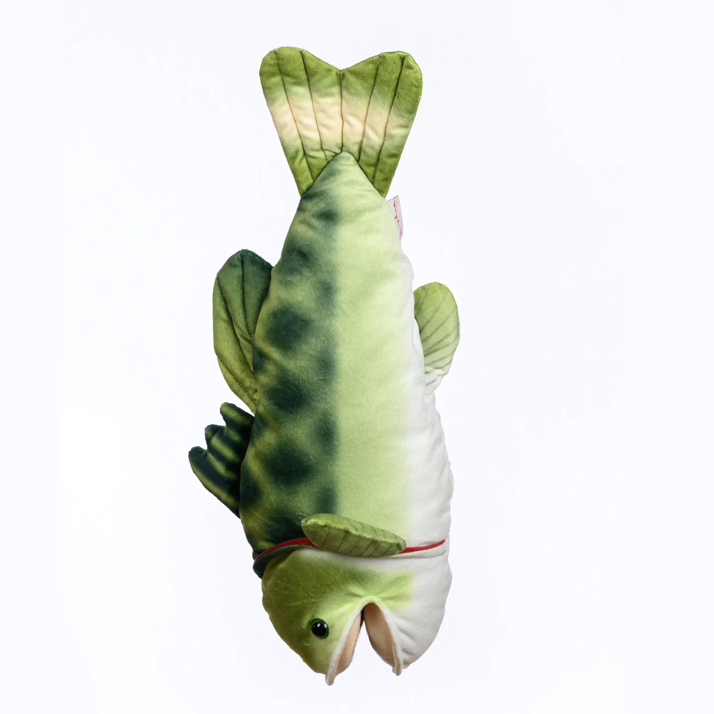 Bass - Image 2