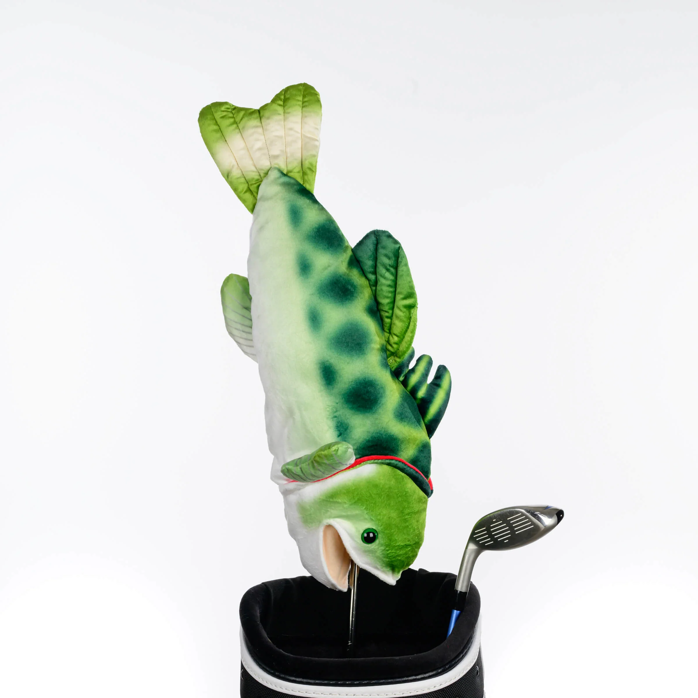 Bass - Image 3