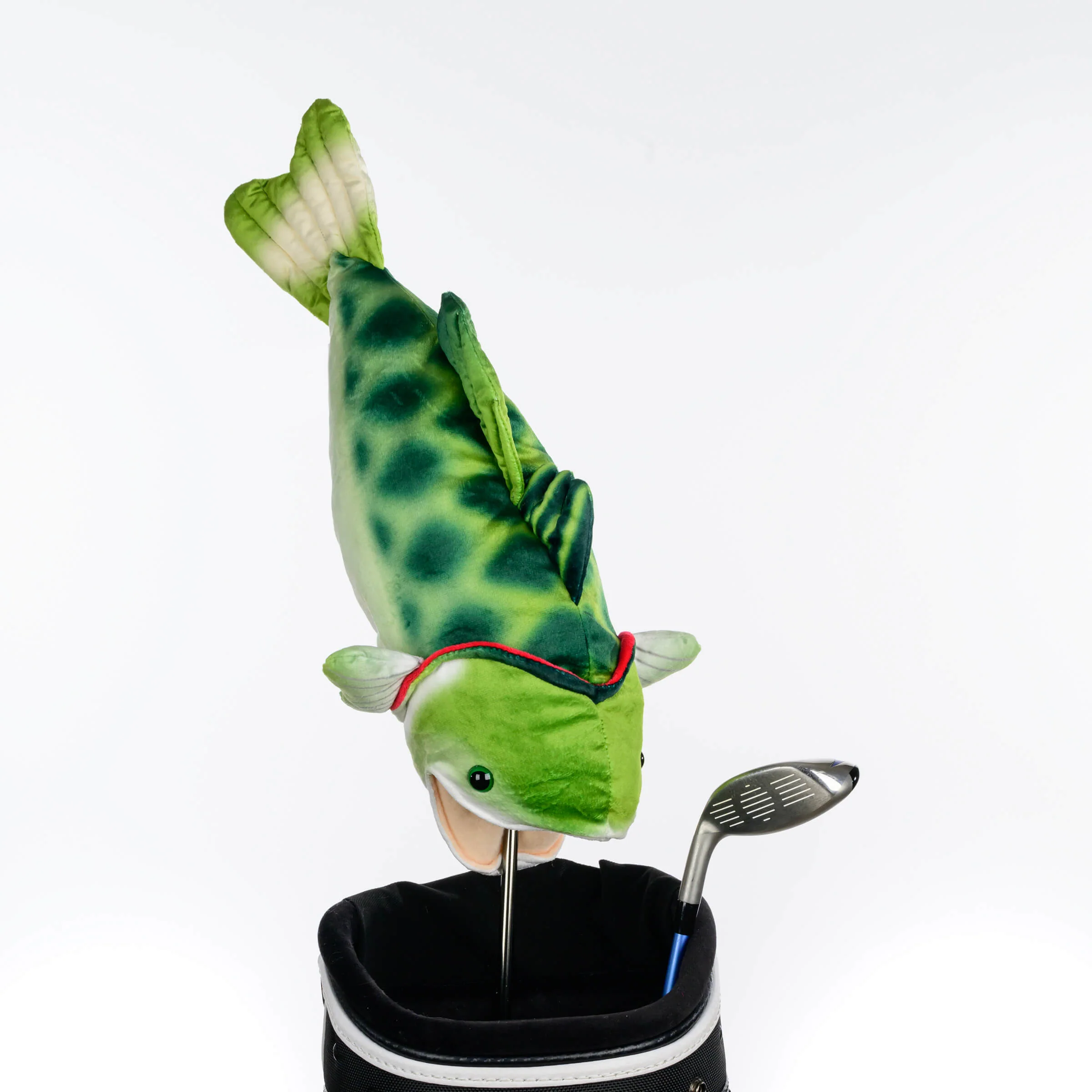 Bass - Image 4