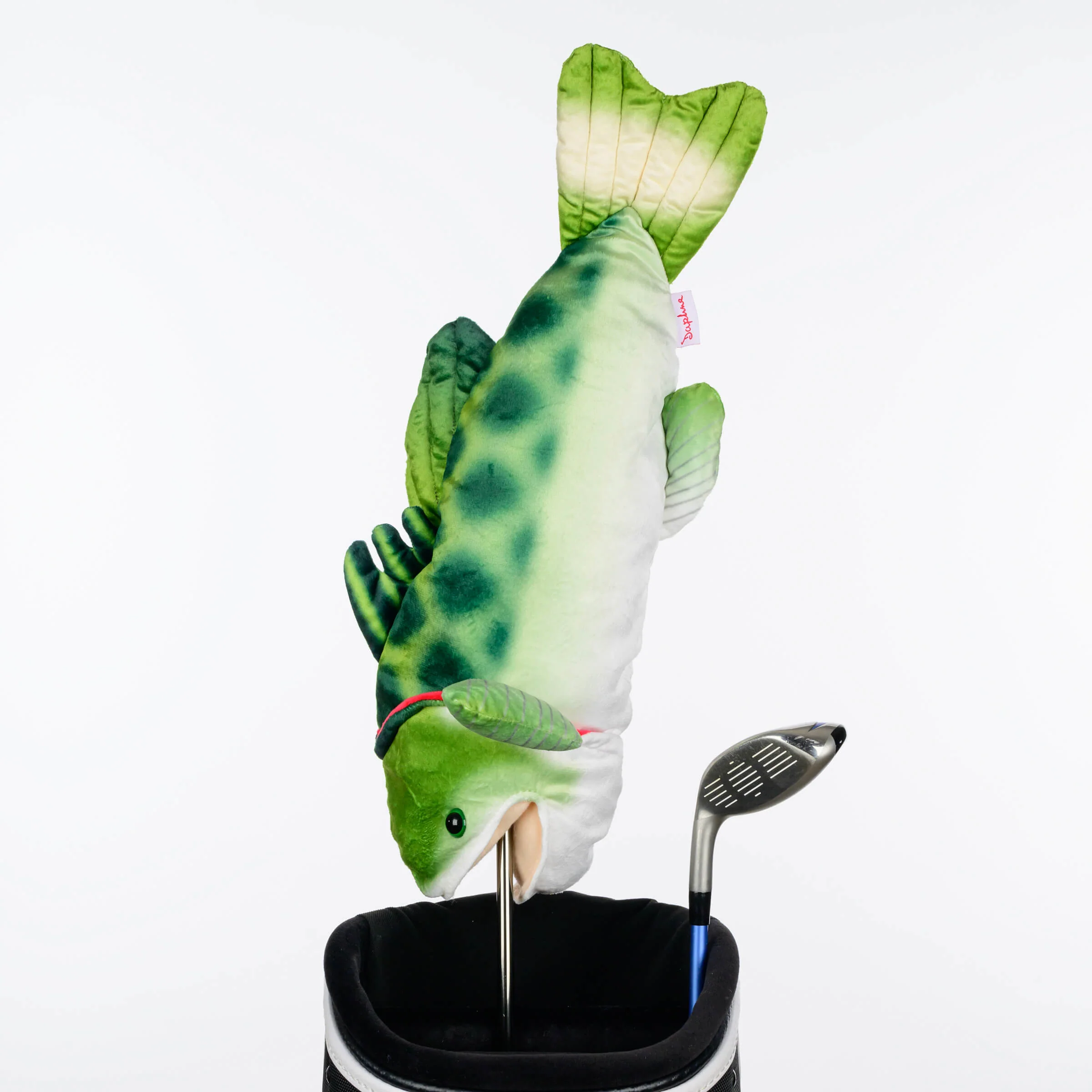 Bass - Image 5