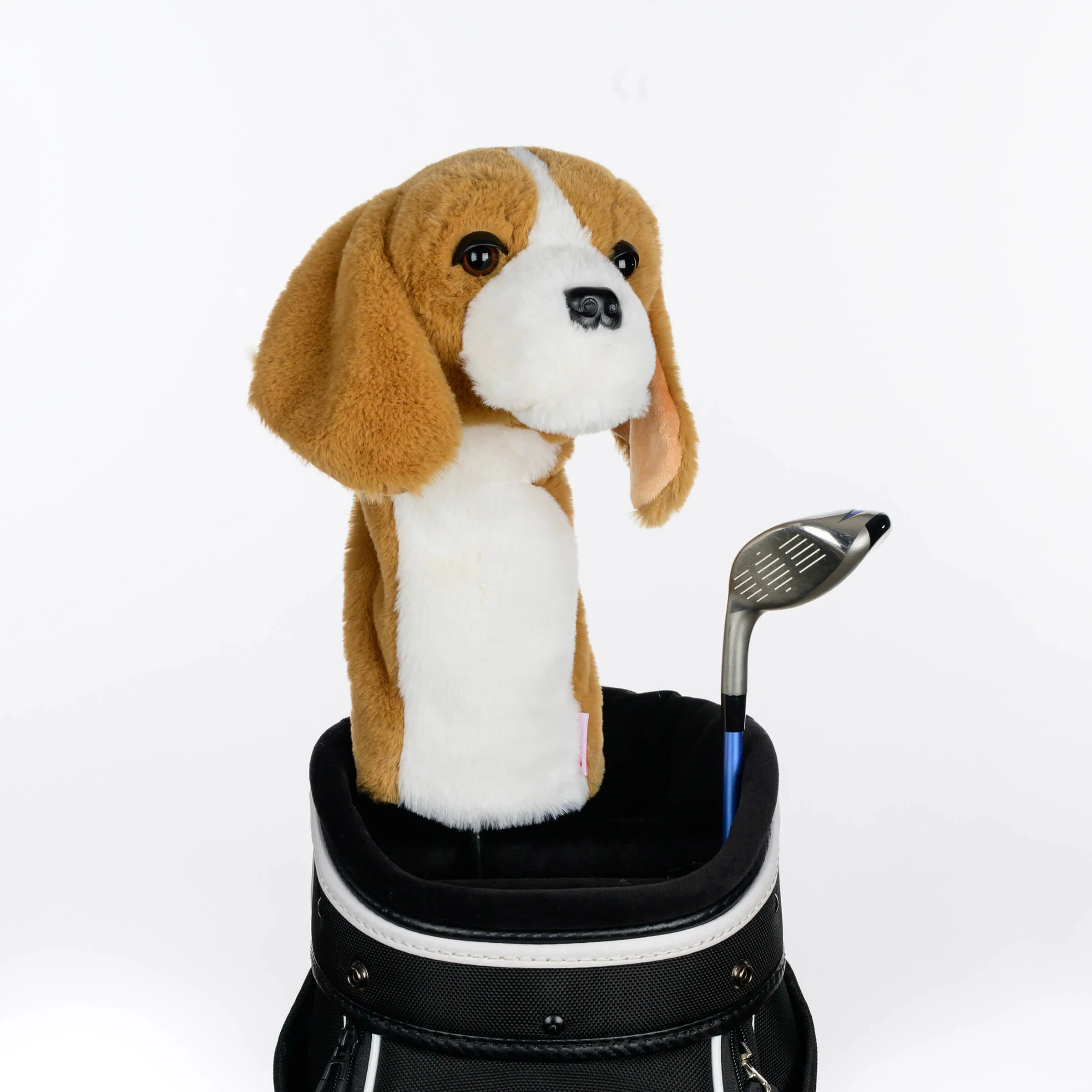Beagle - Image 3