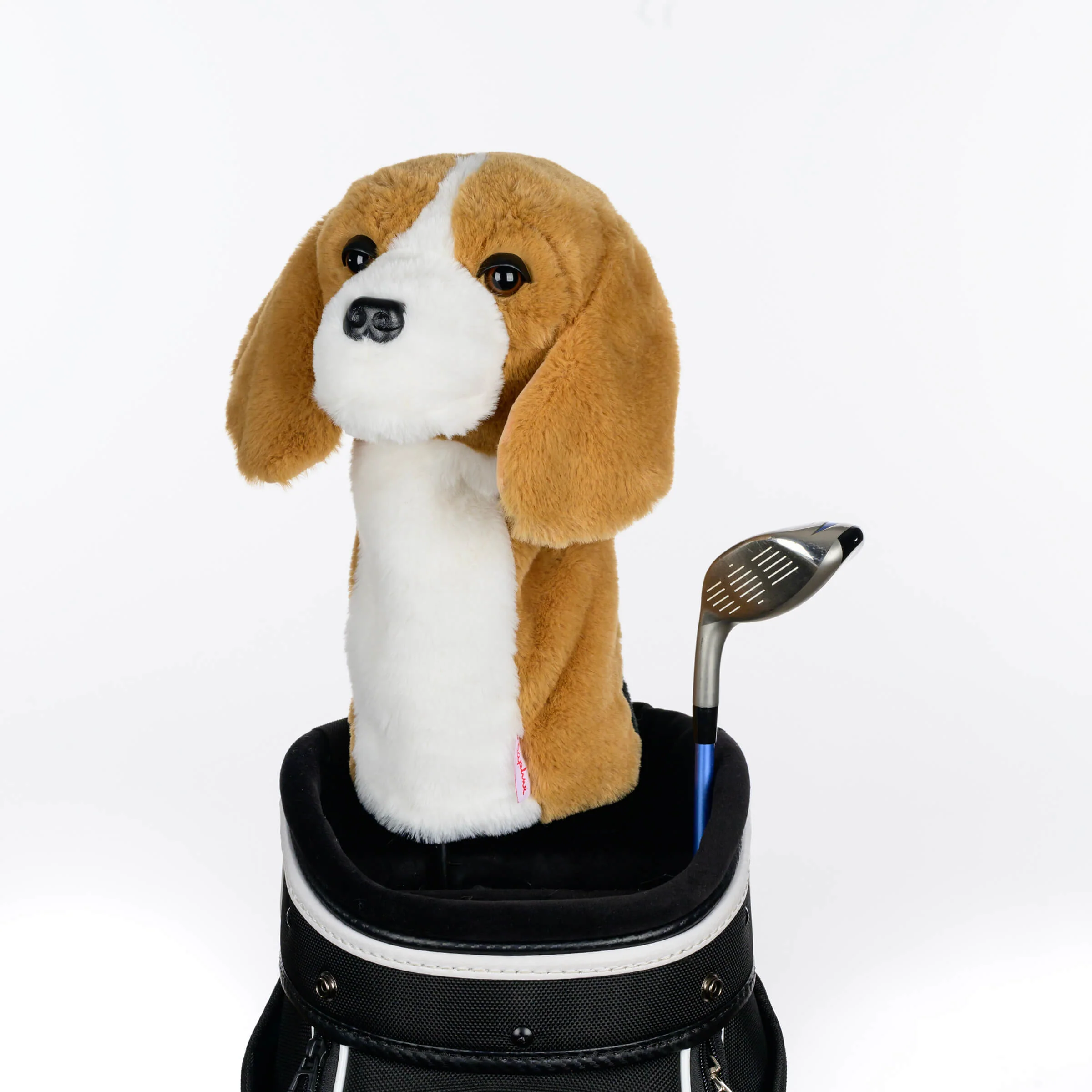 Beagle - Image 4