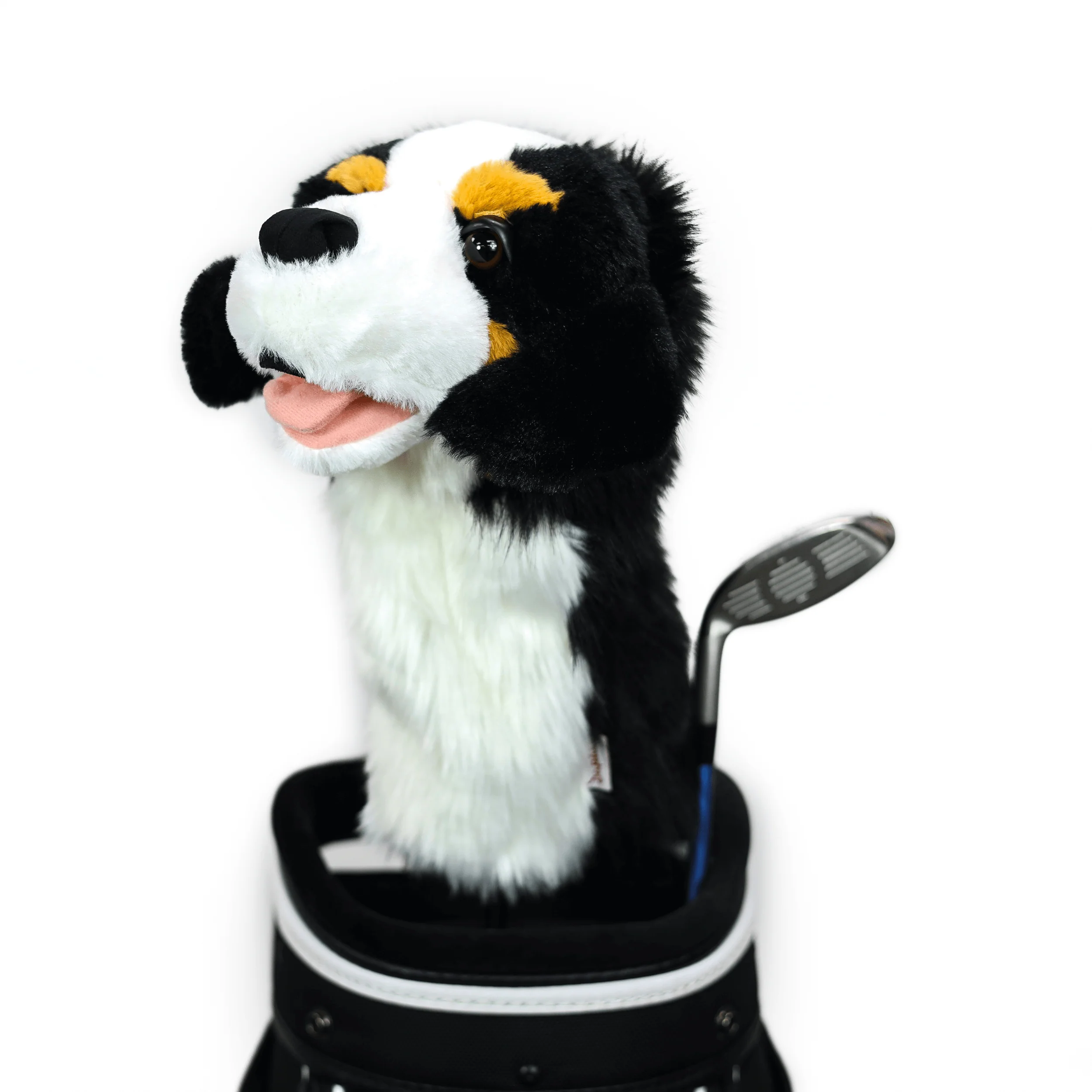 Bernese Mountain Dog - Image 3