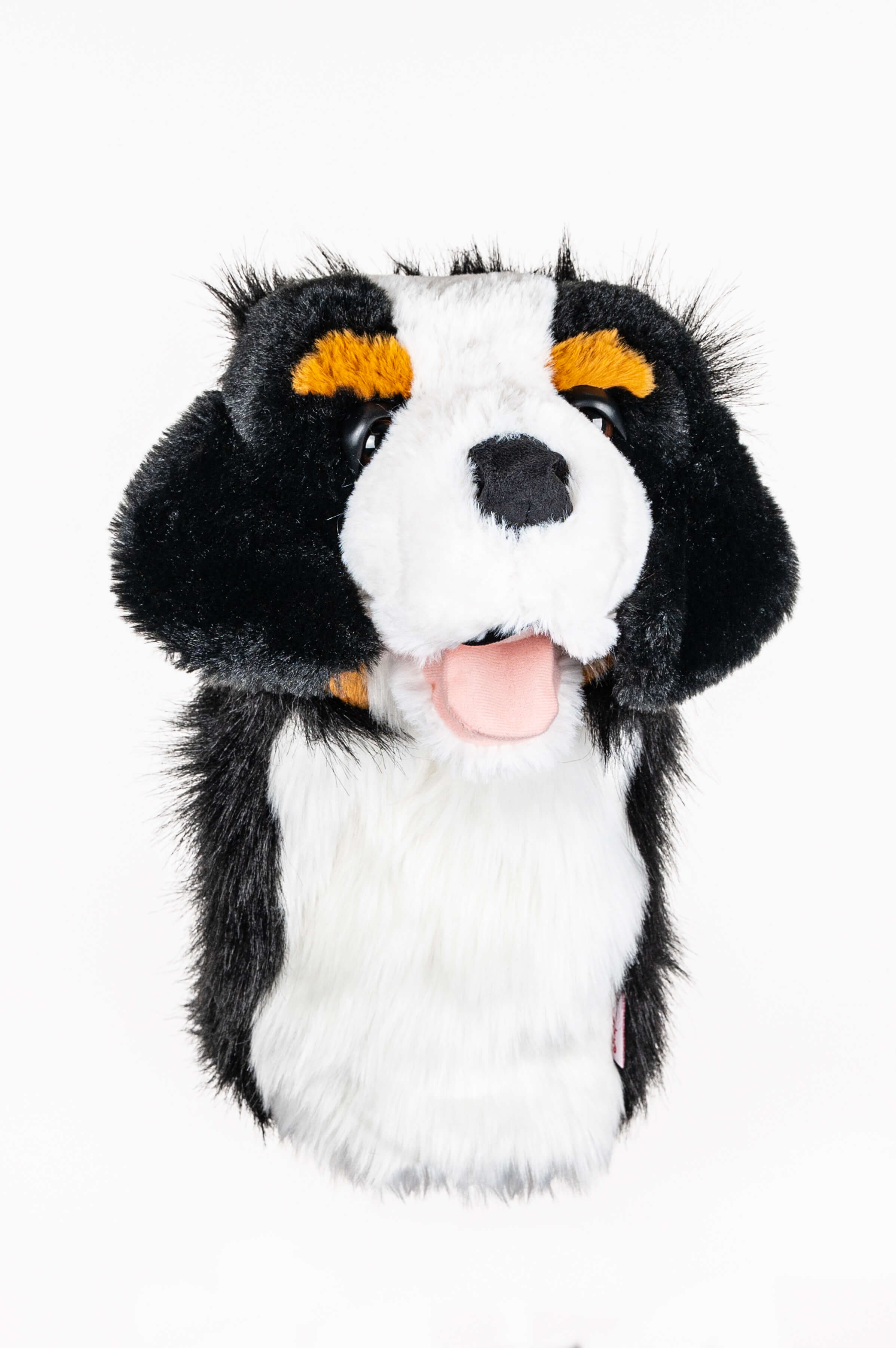 Bernese Mountain Dog - Image 5