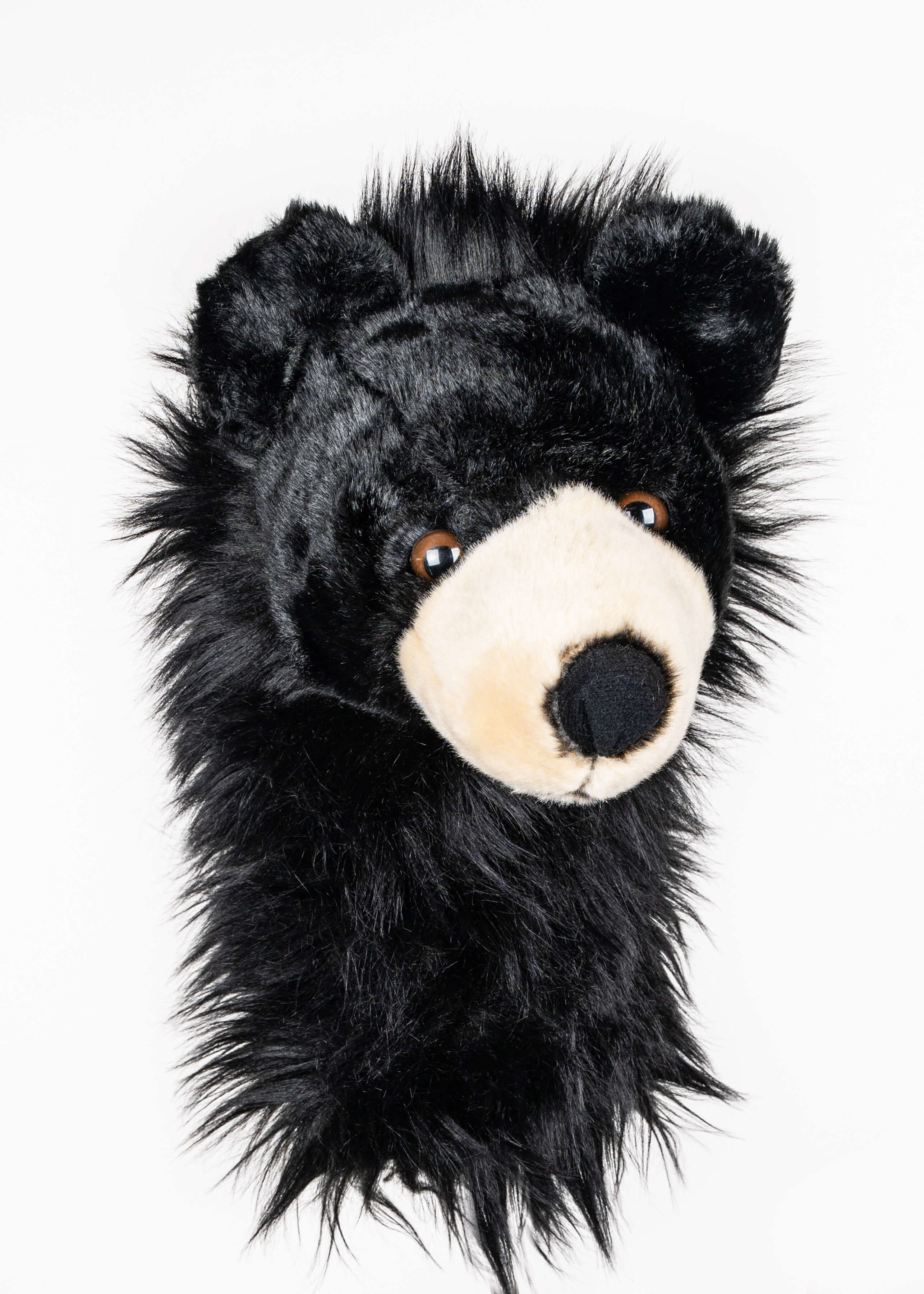 Black Bear - Image 3