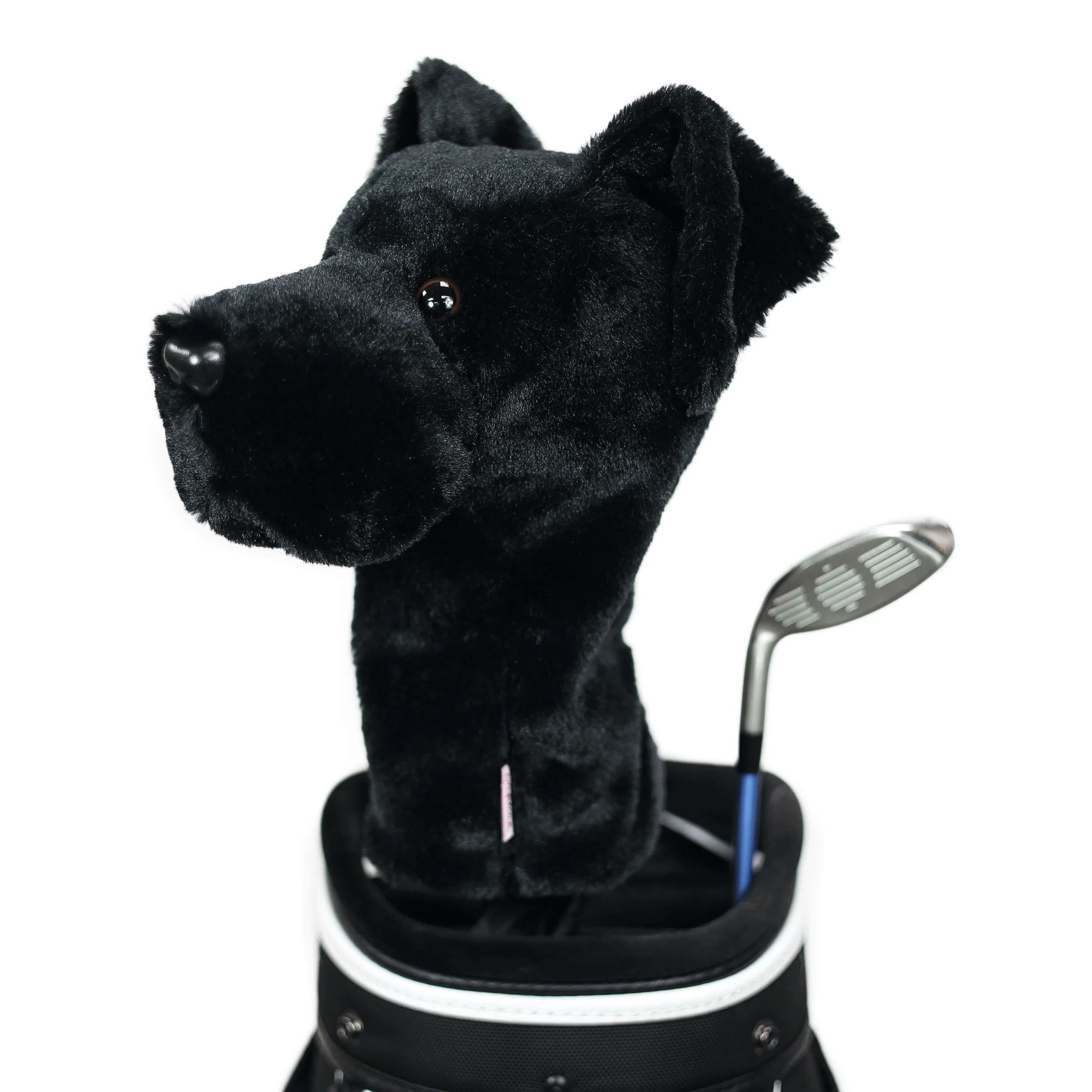 Black Lab - Image 3