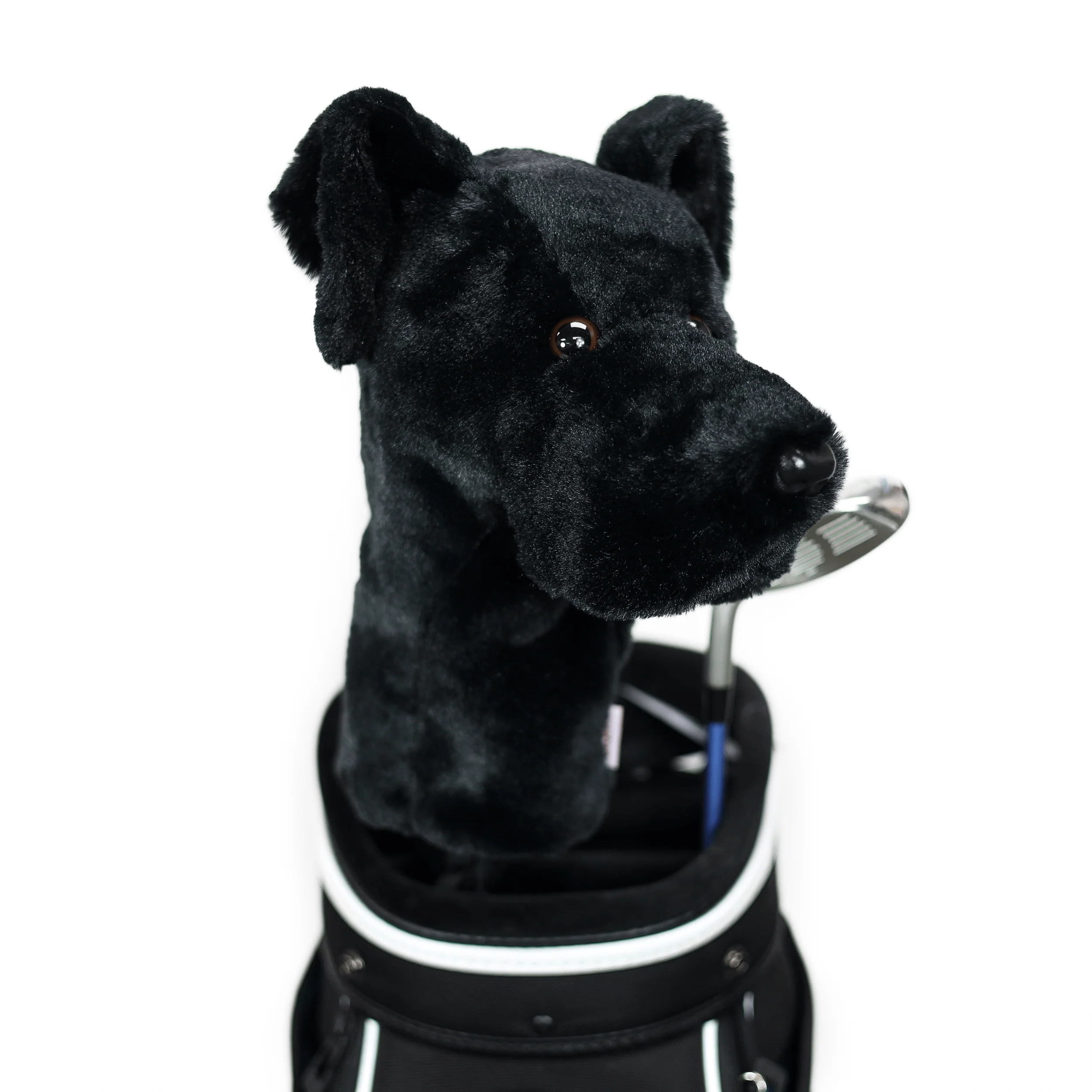 Black Lab - Image 4