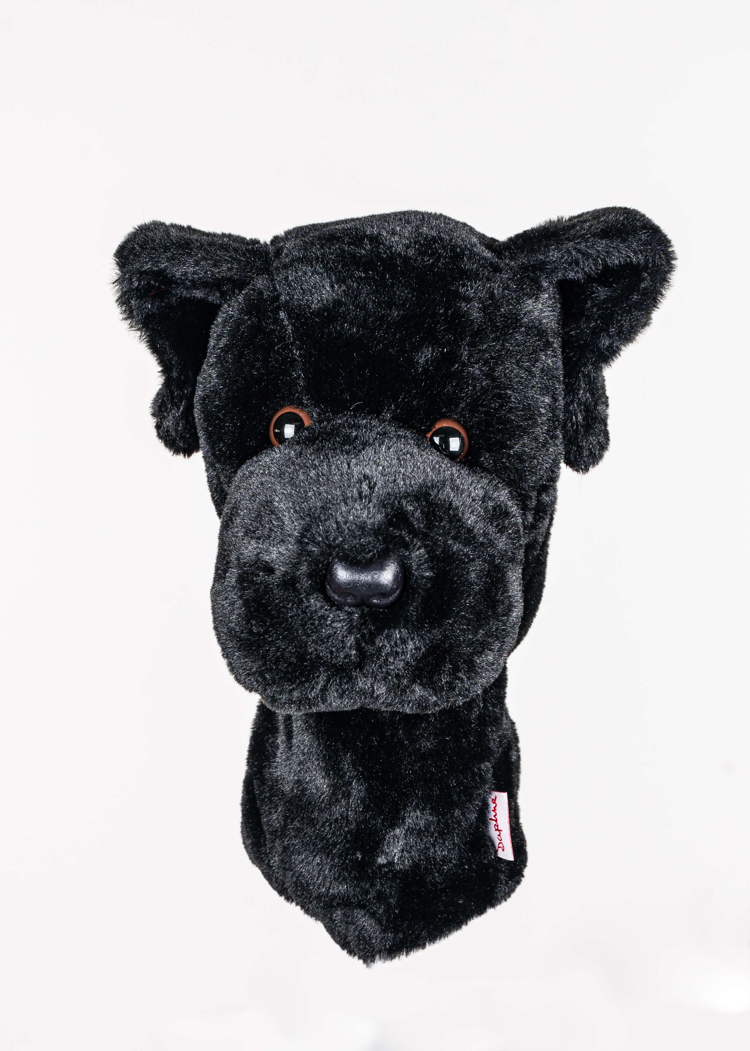 Black Lab - Image 5