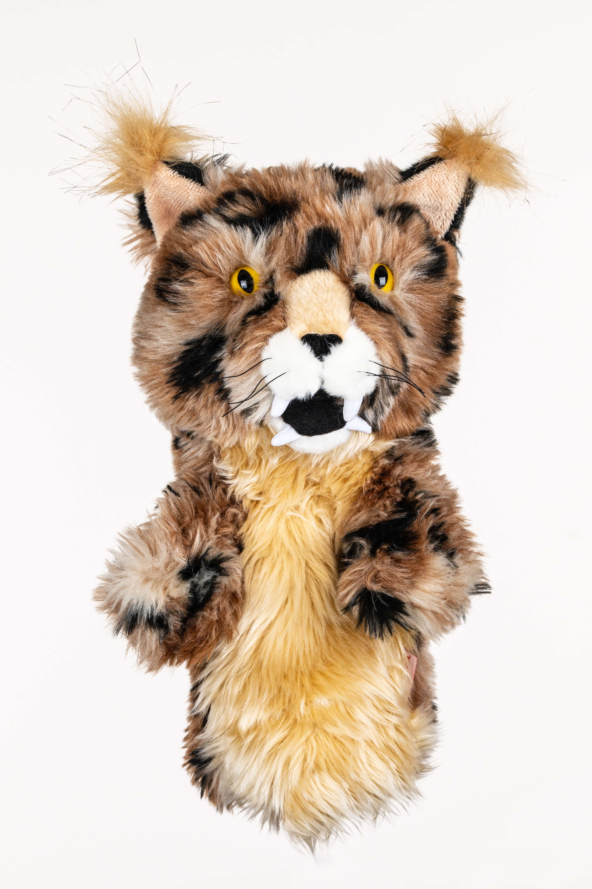 Bobcat - Image 3