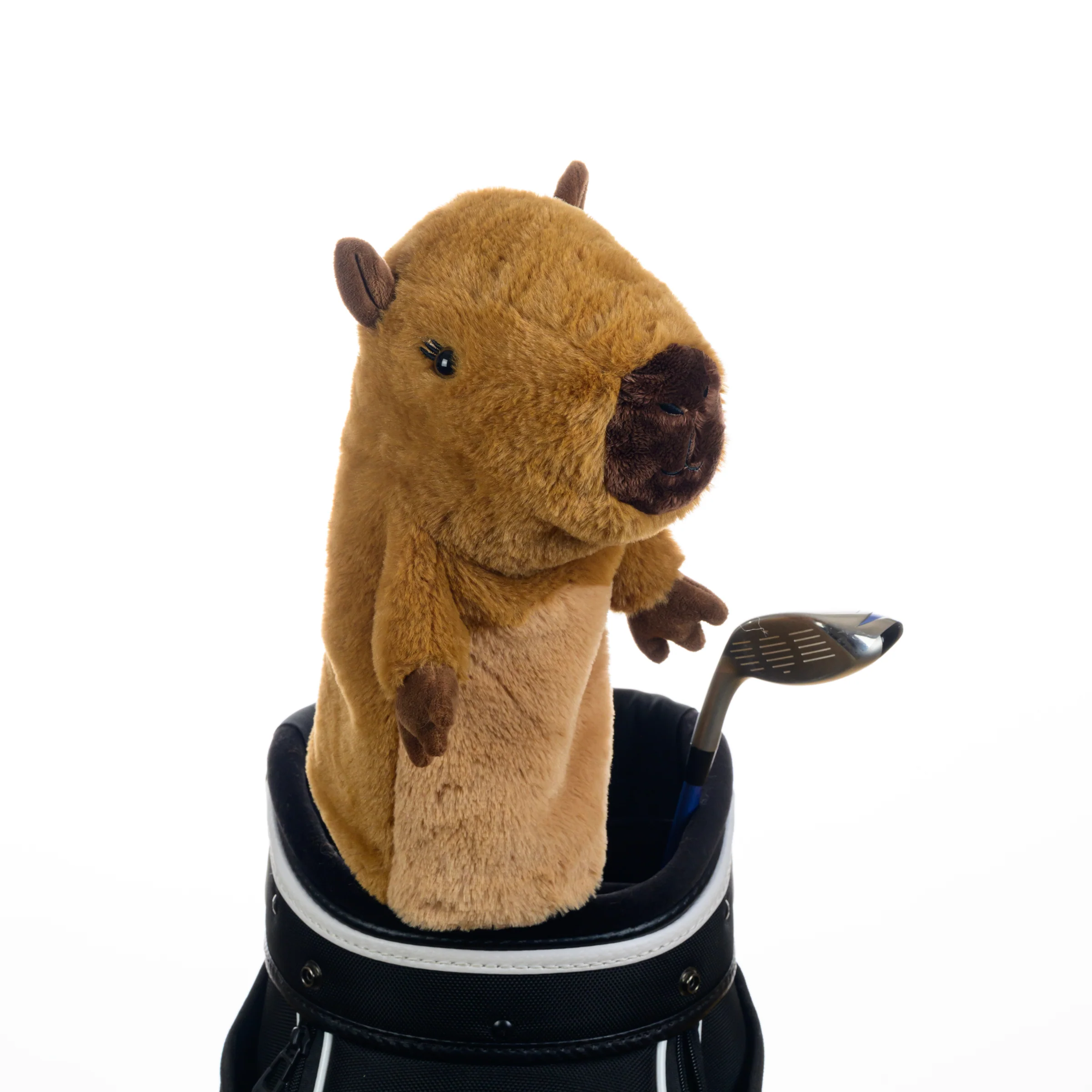 Capybara