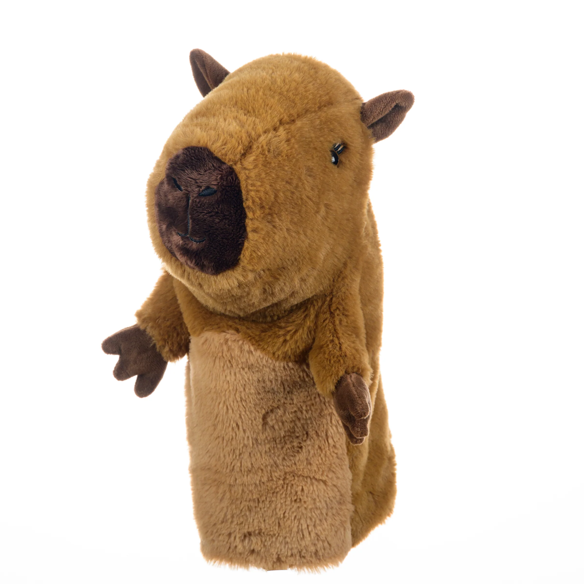 Capybara - Image 2