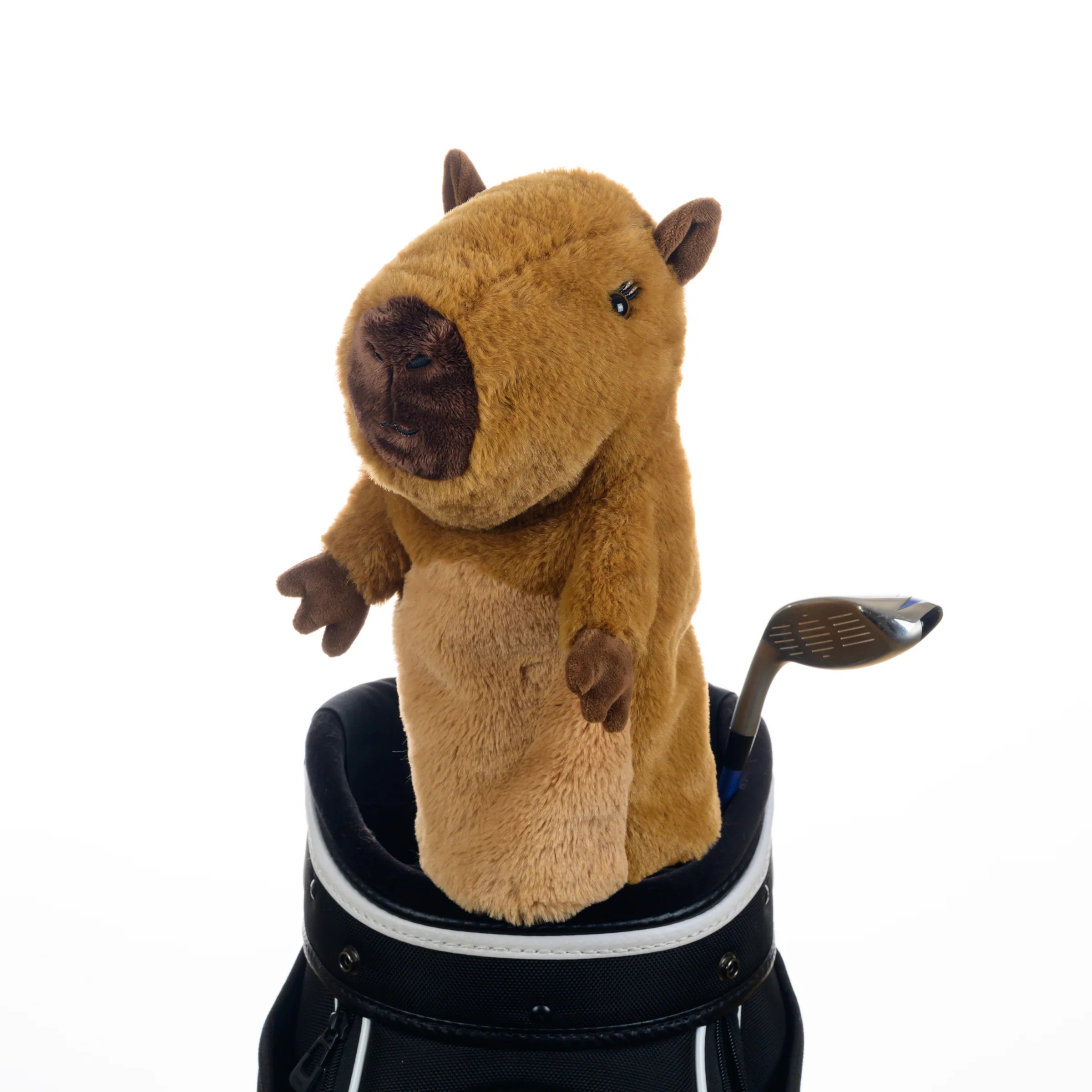 Capybara - Image 3