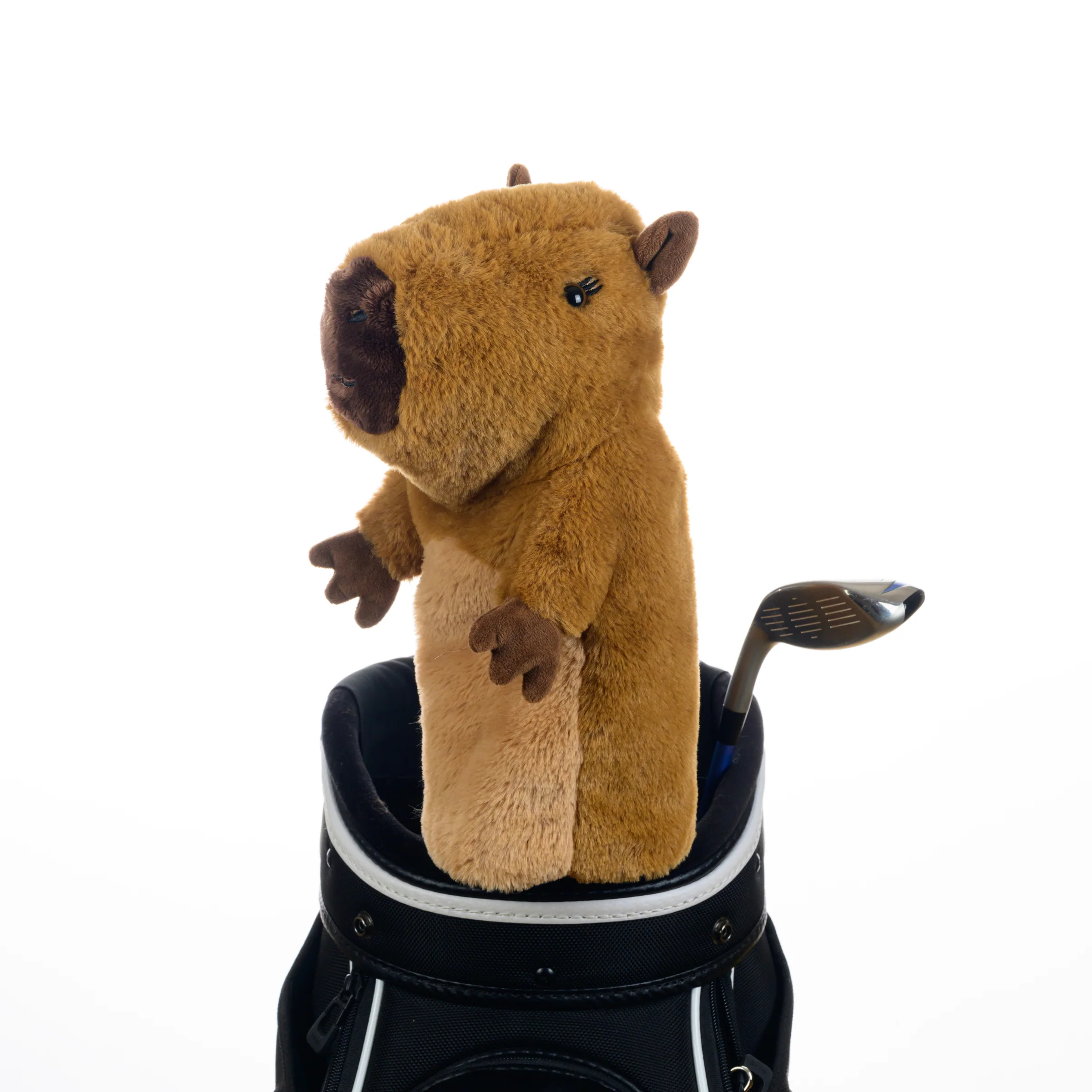 Capybara - Image 4