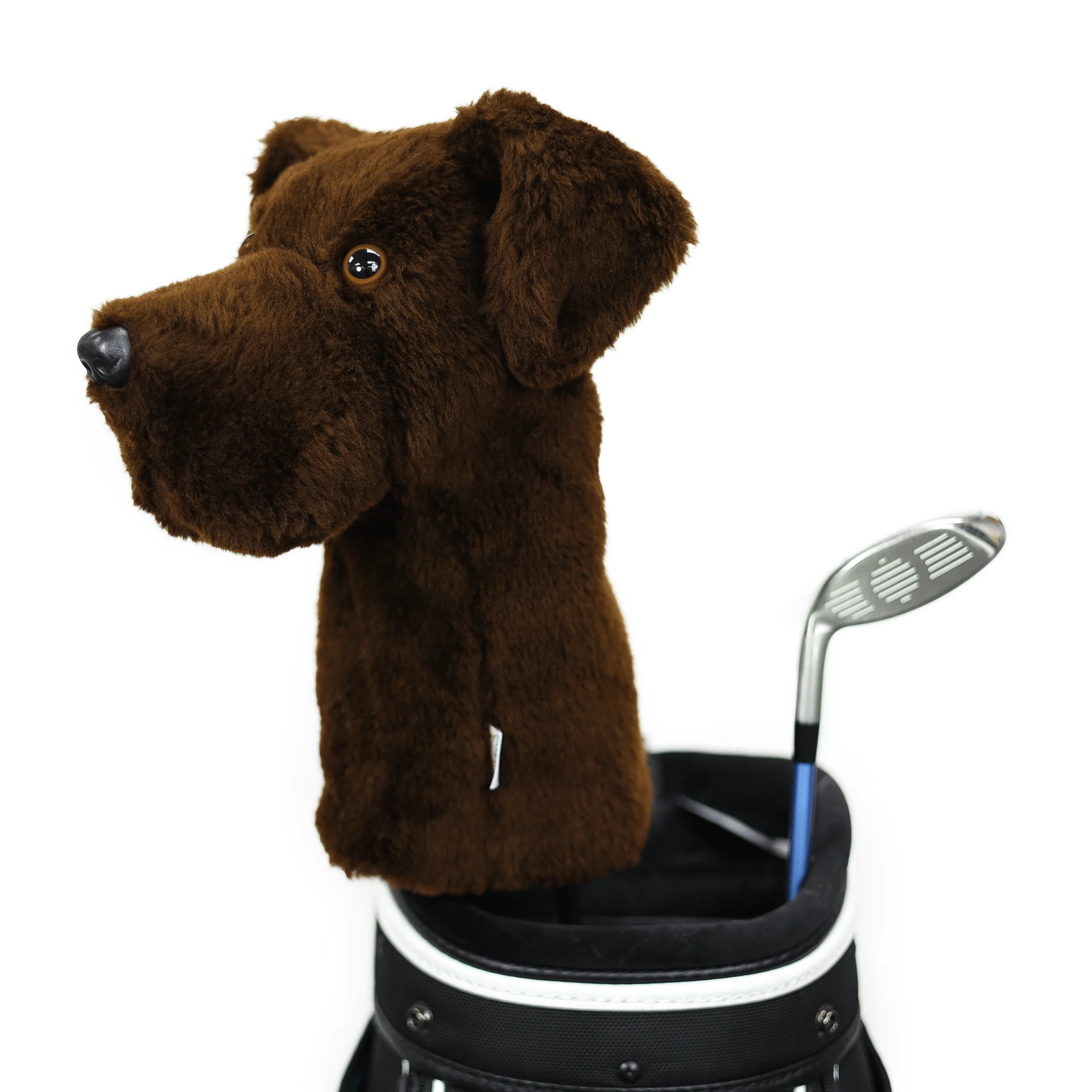 Chocolate Lab - Image 3
