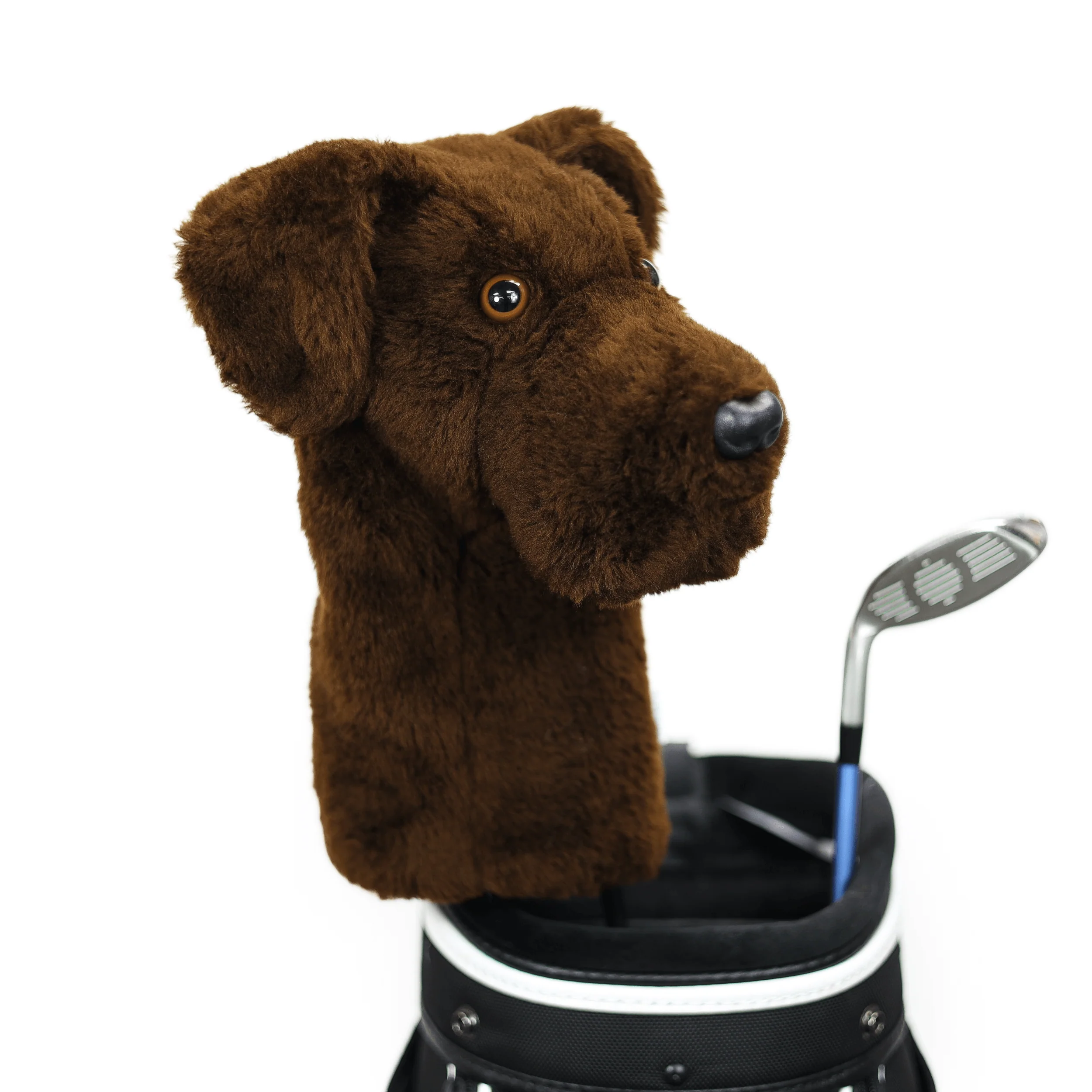Chocolate Lab - Image 4