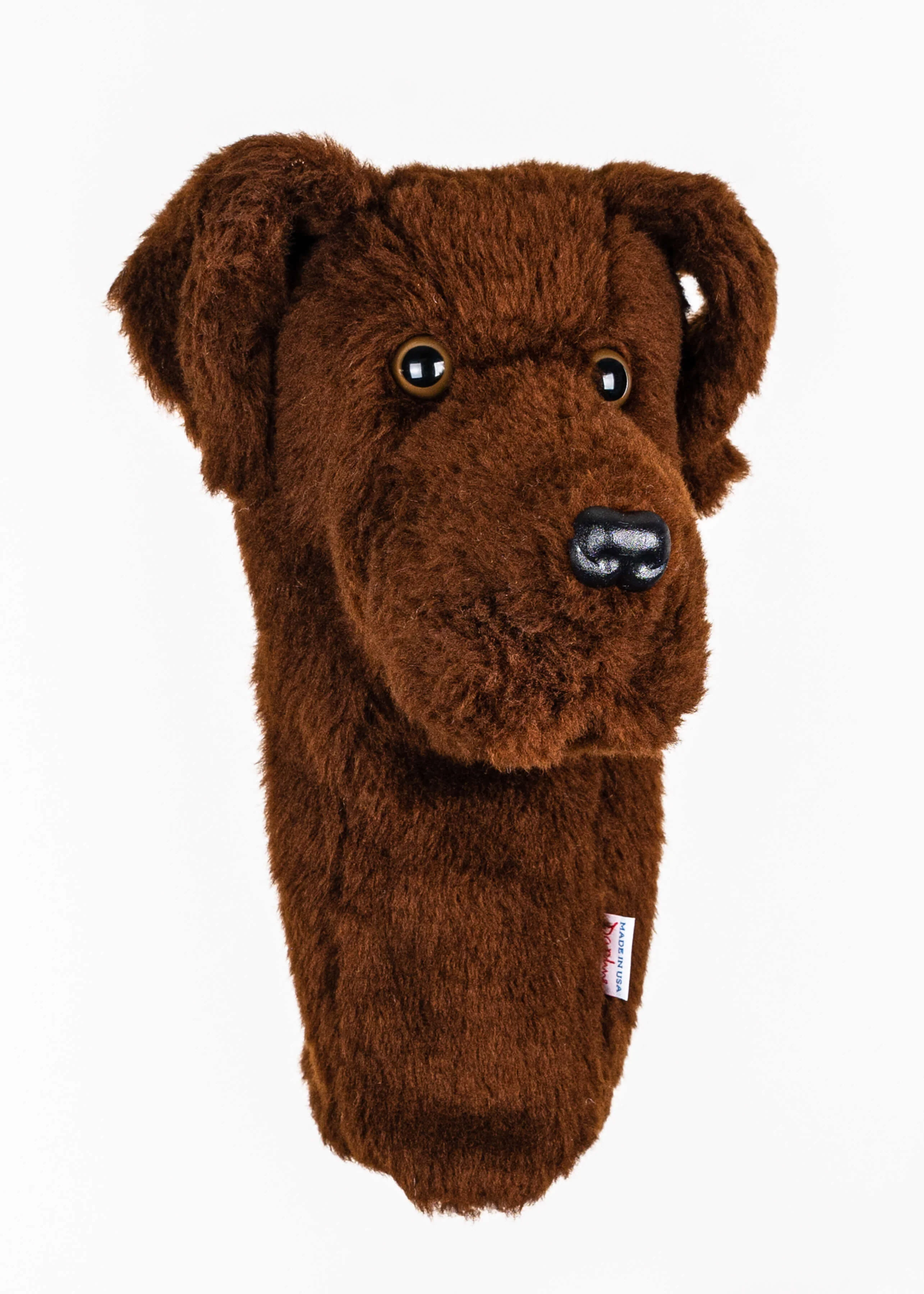 Chocolate Lab - Image 5