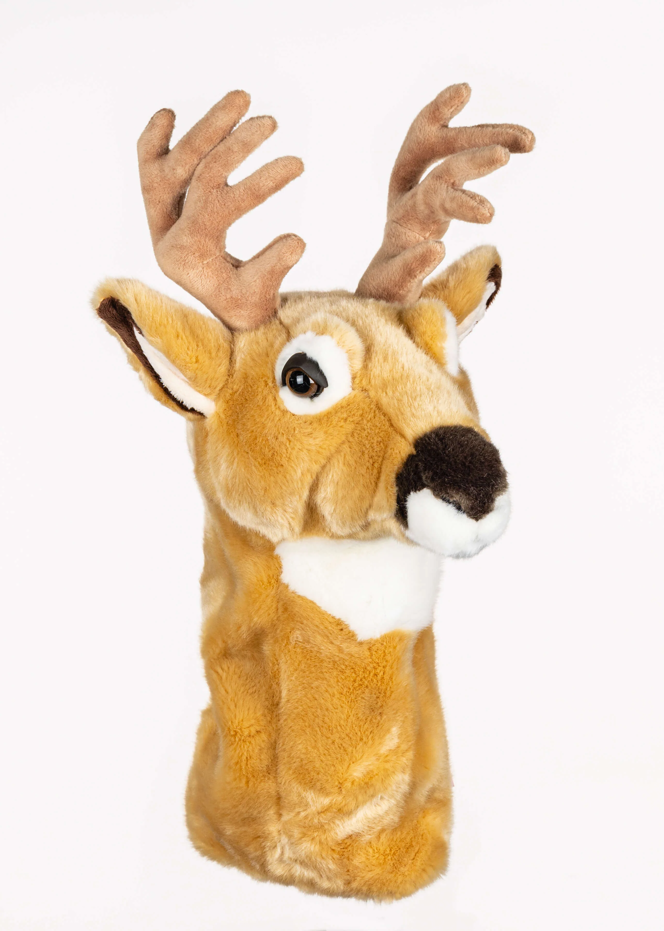 Deer - Image 2