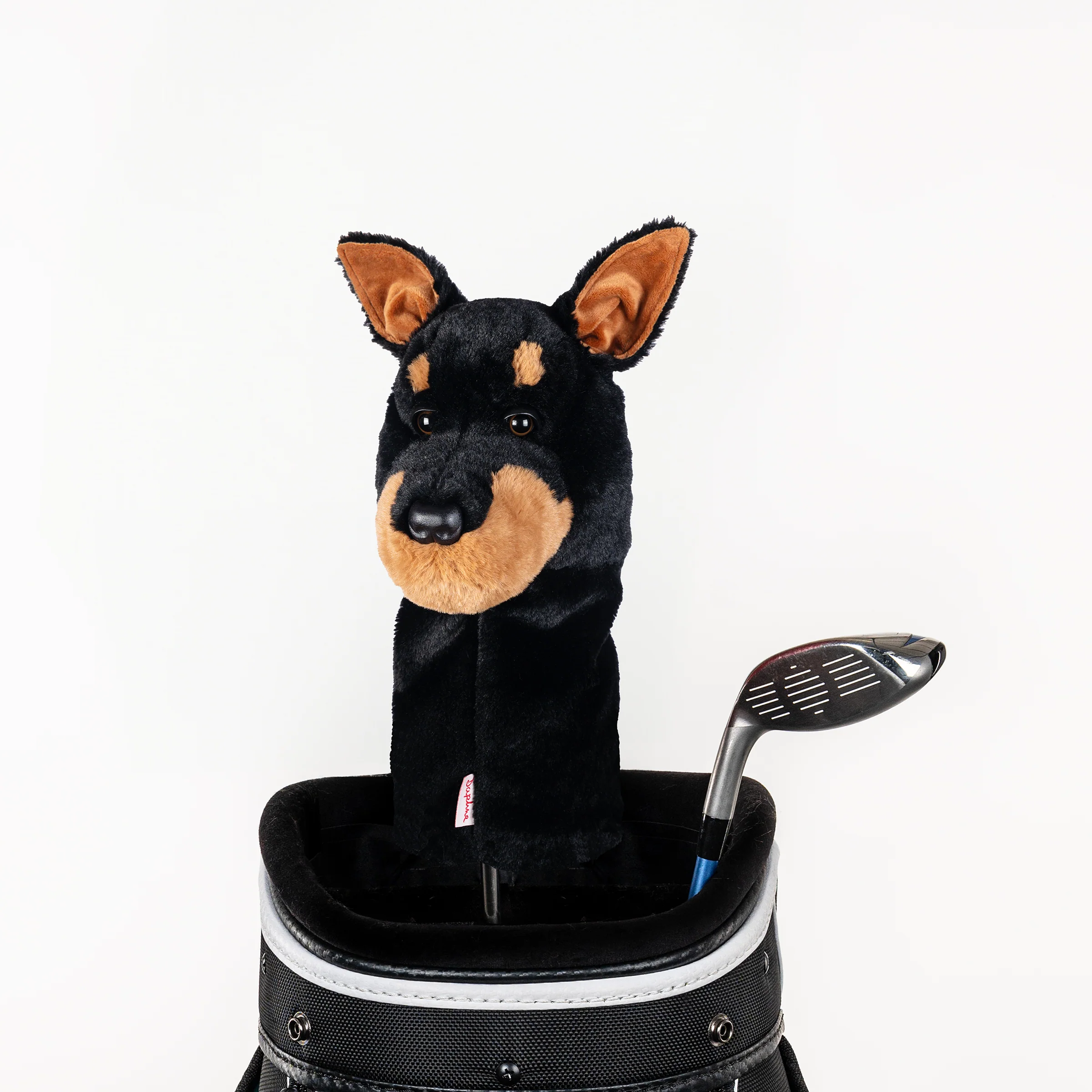 Doberman