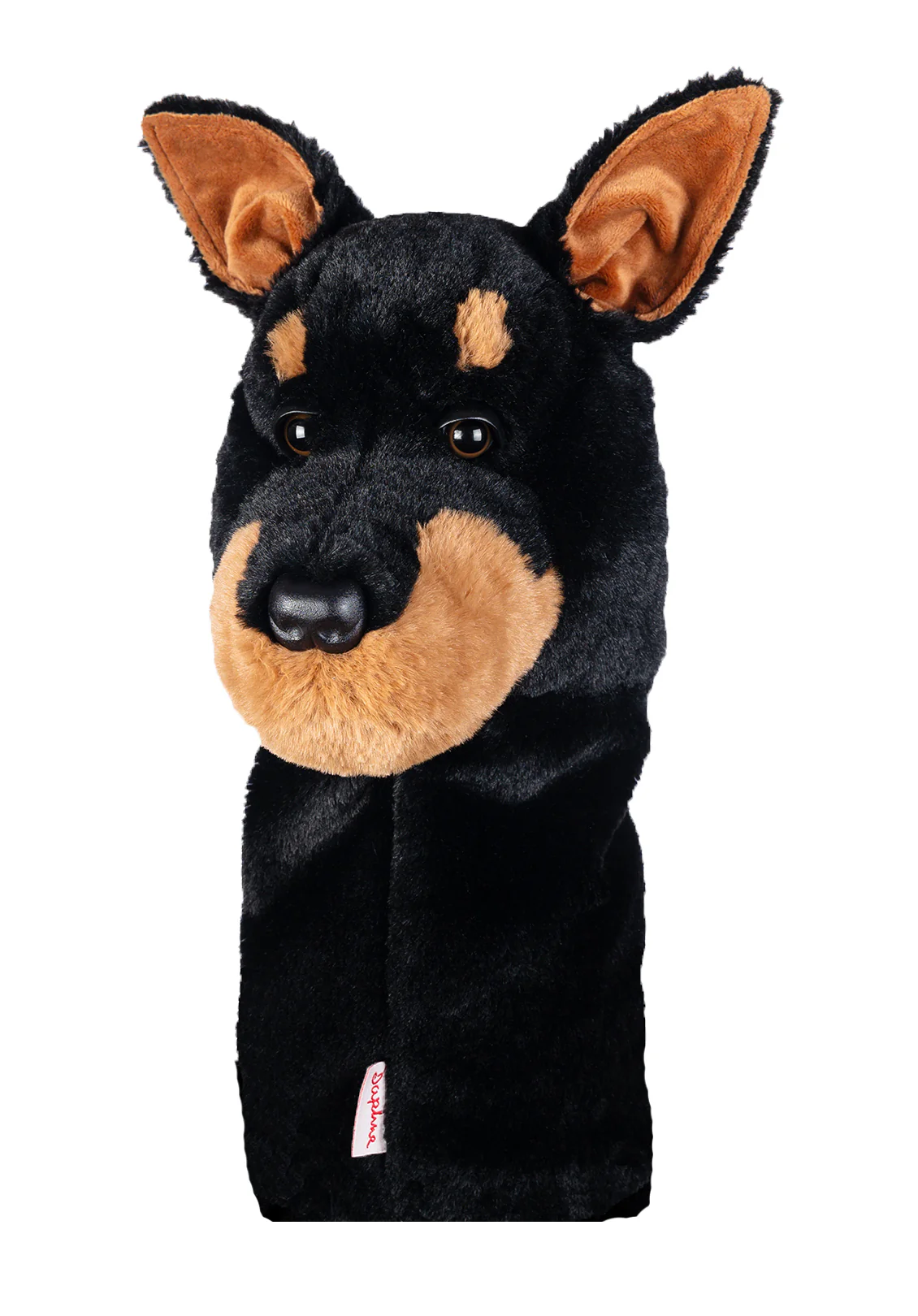 Doberman - Image 2