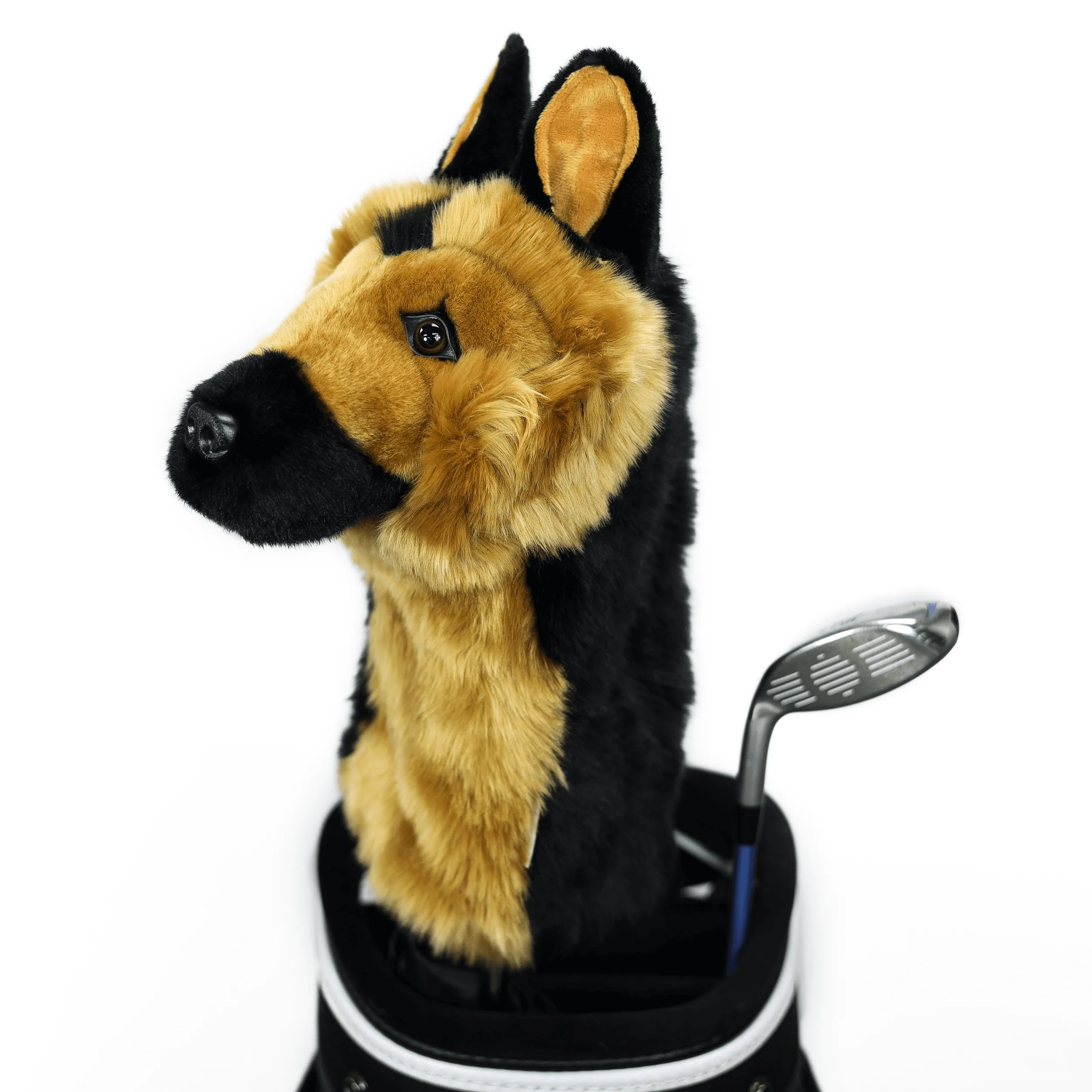 German Shepherd - Image 3