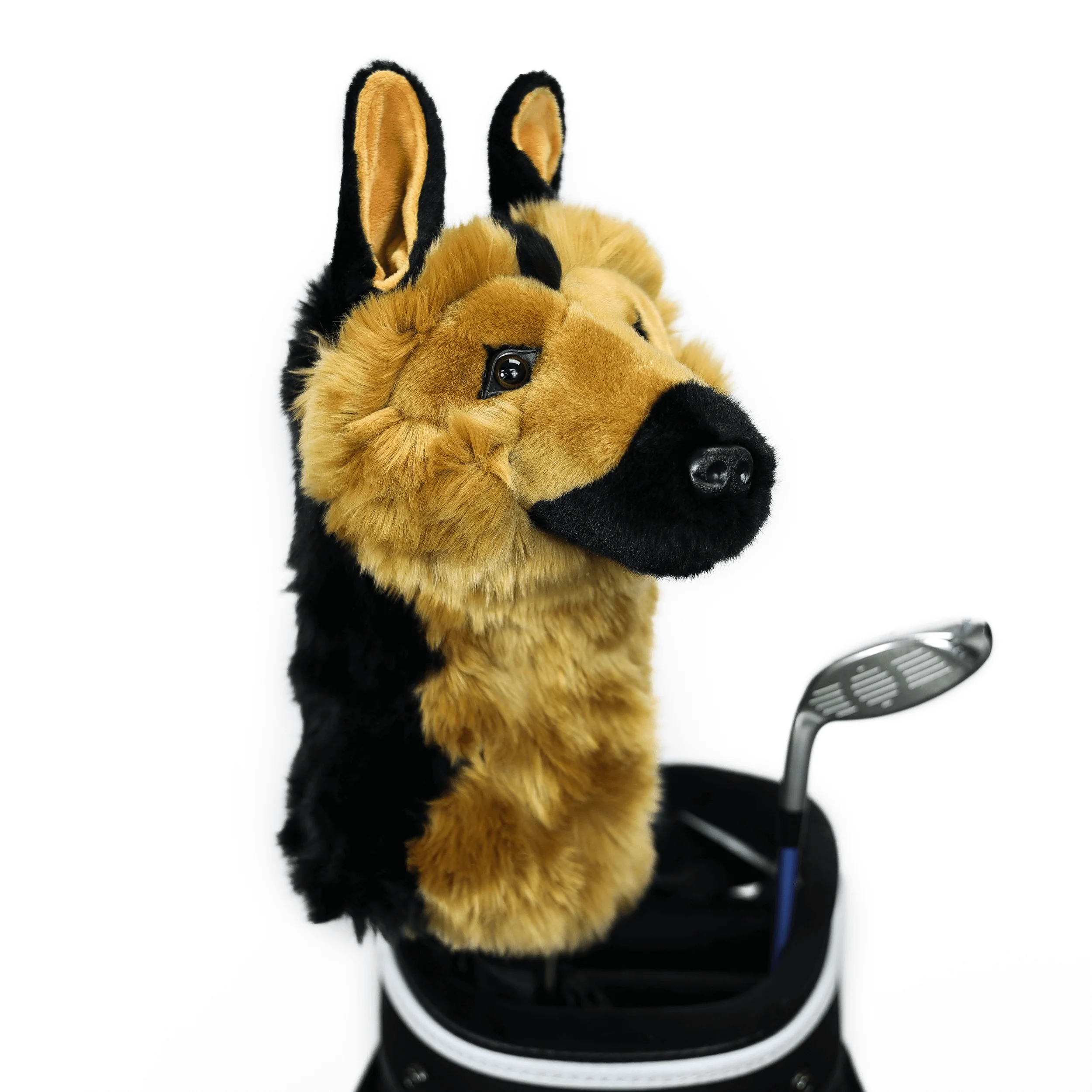German Shepherd - Image 4