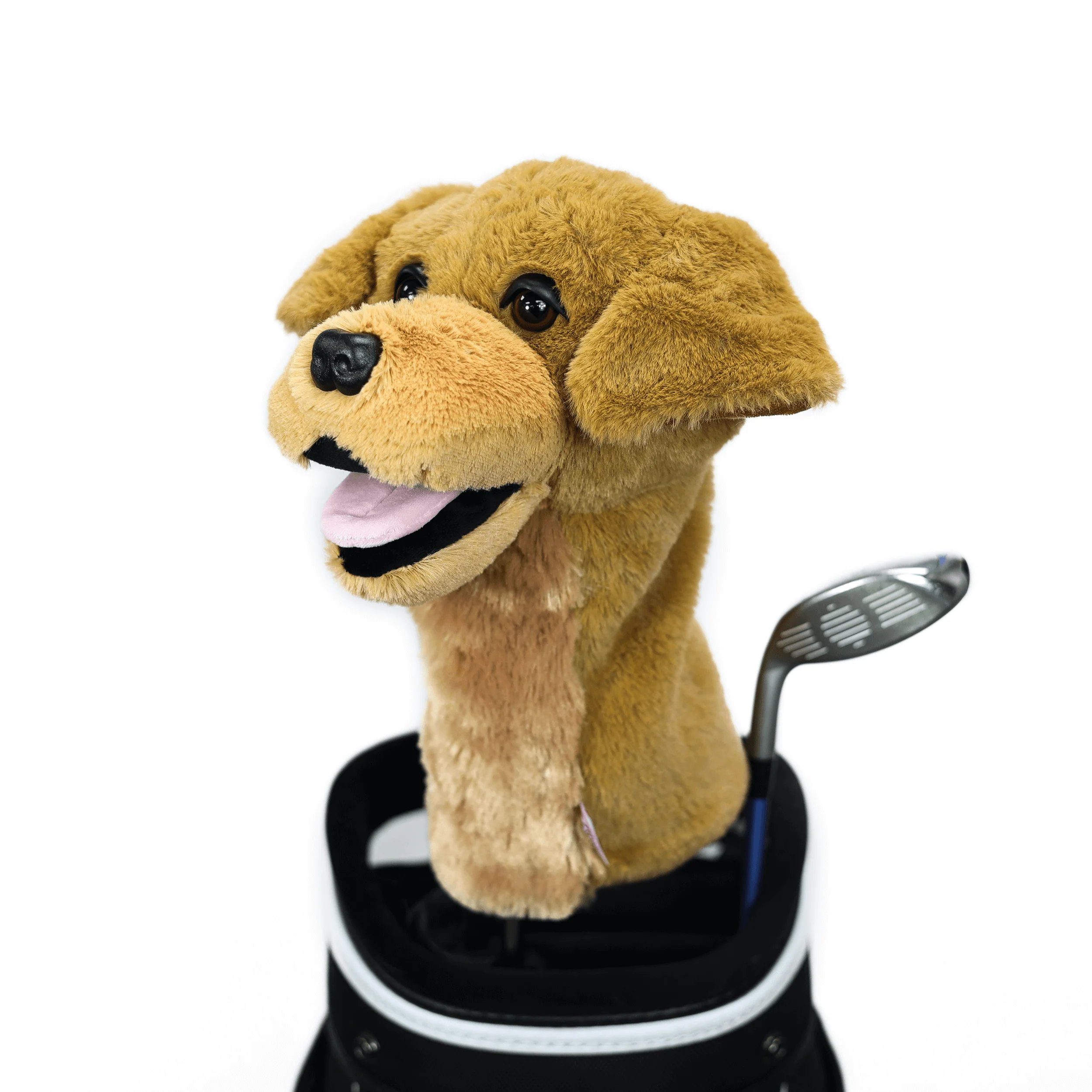Golden Retriever - Image 3
