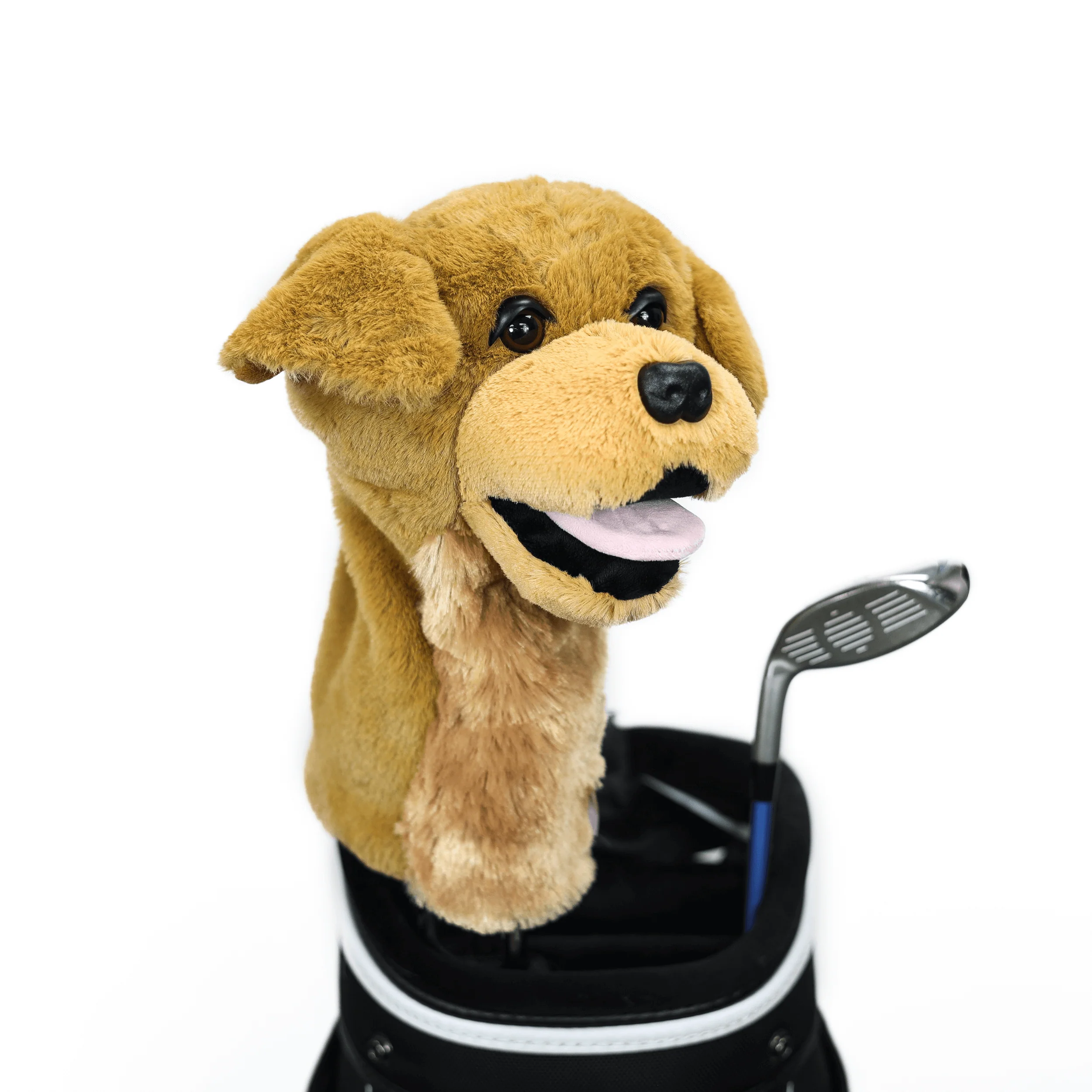 Golden Retriever - Image 4