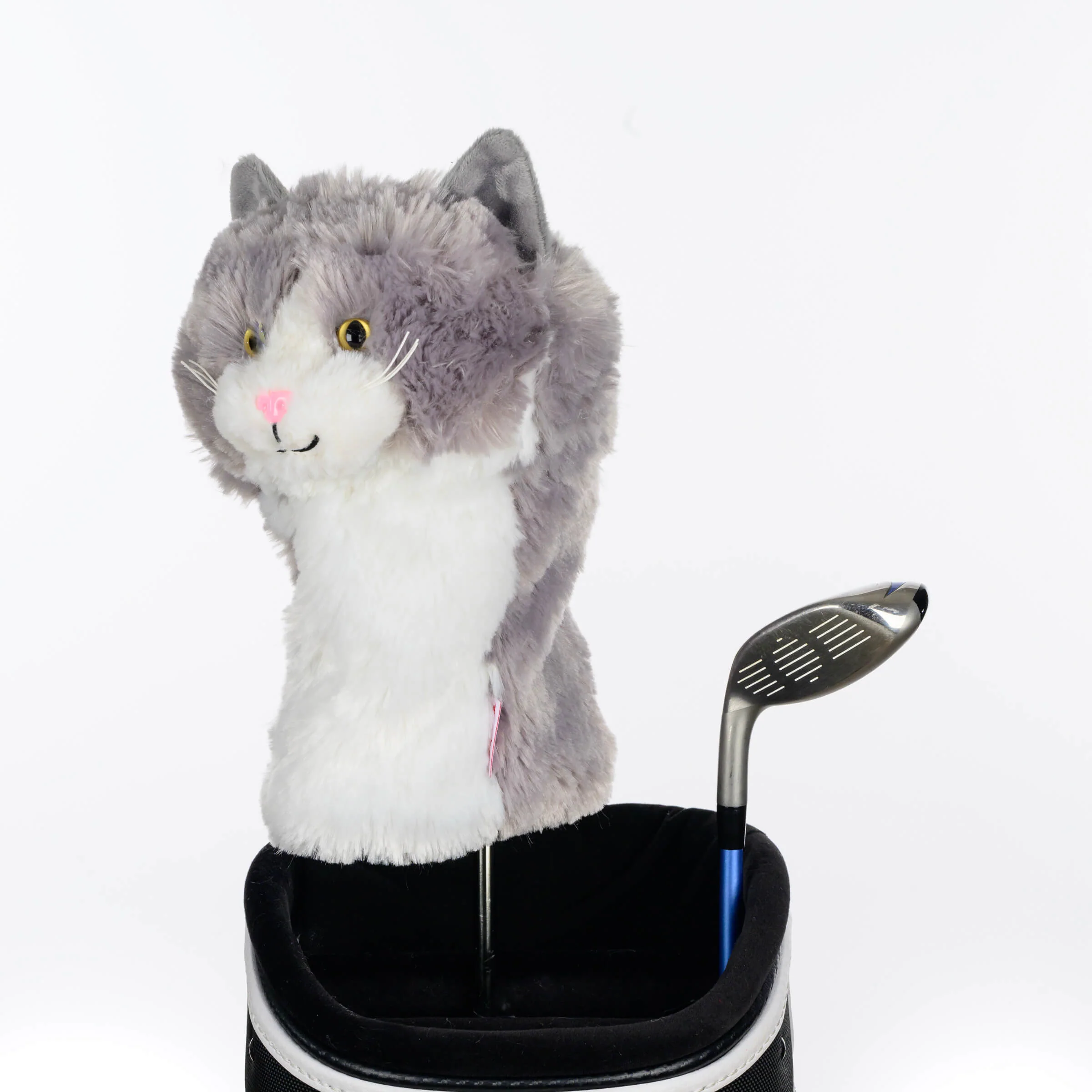 Grey & White Cat - Image 3