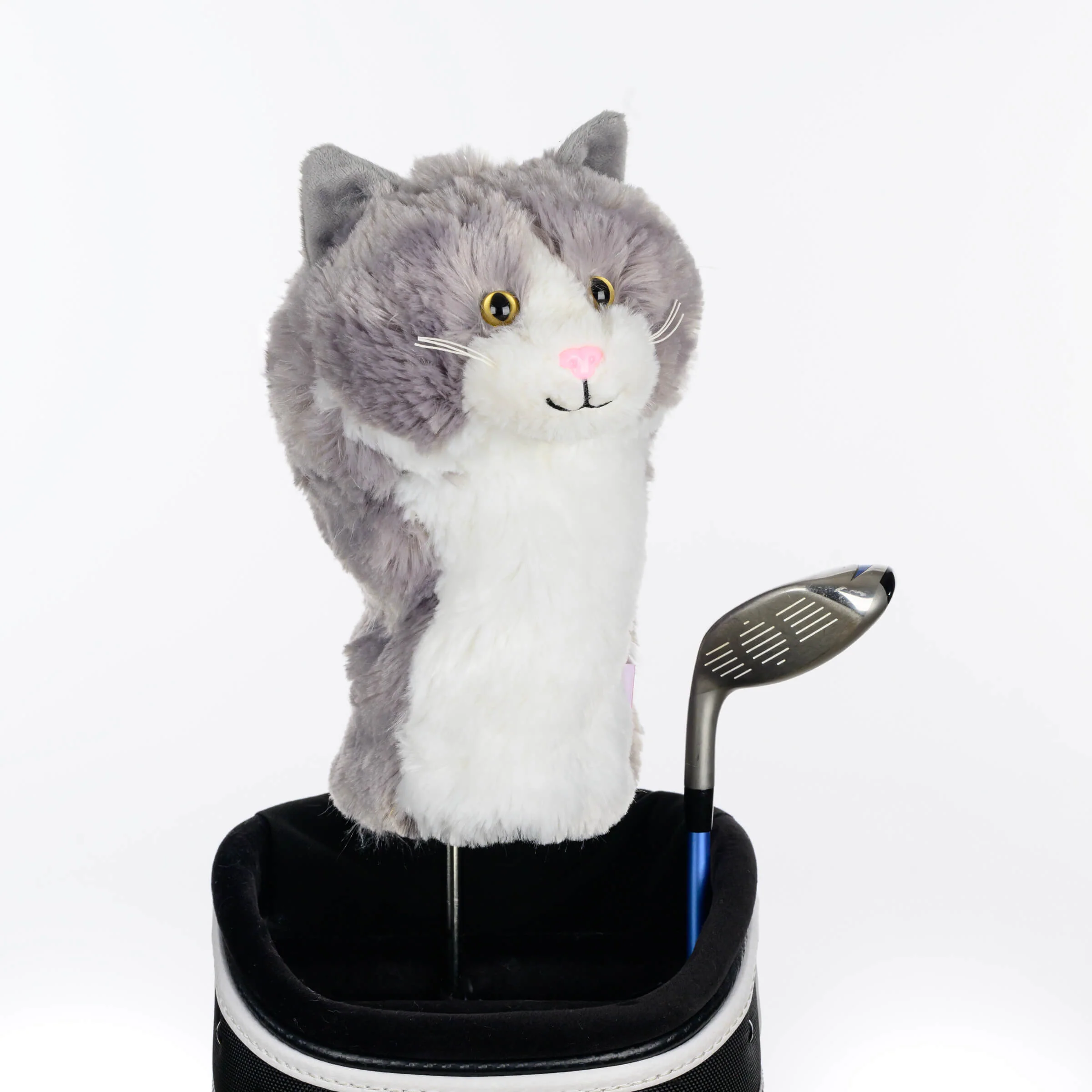 Grey & White Cat - Image 4