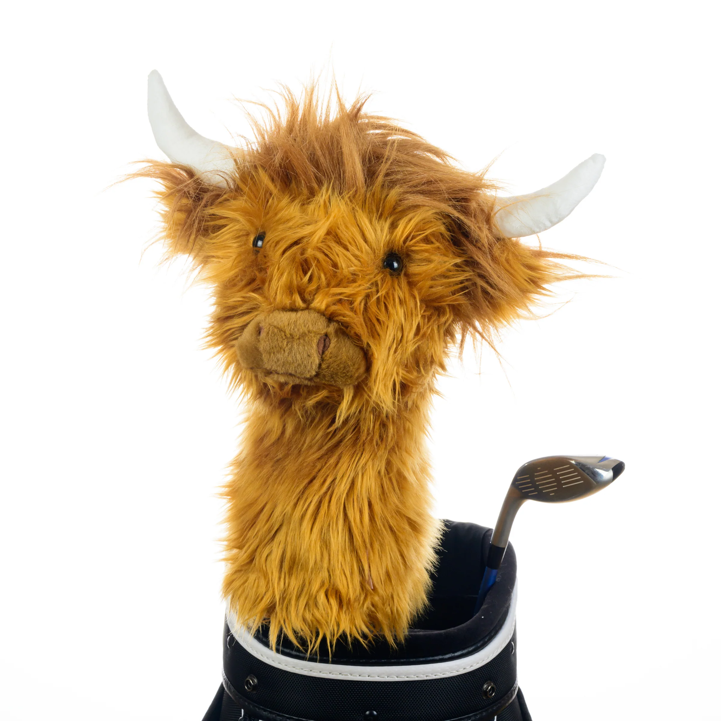 Highland Cow - Image 3
