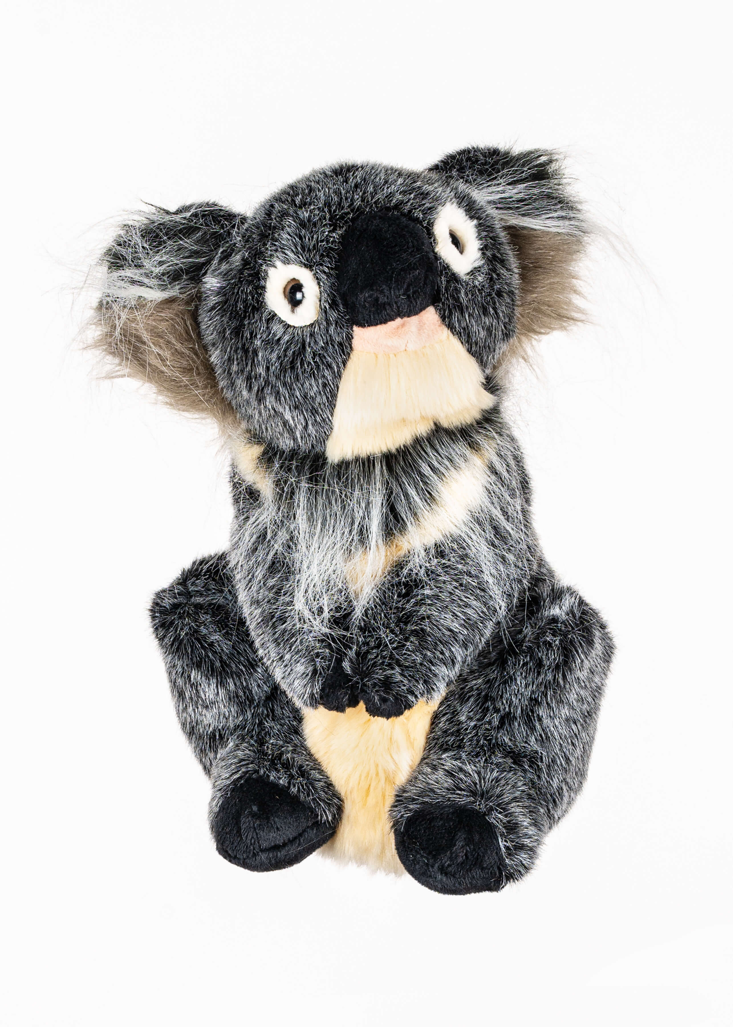 Koala - Image 2