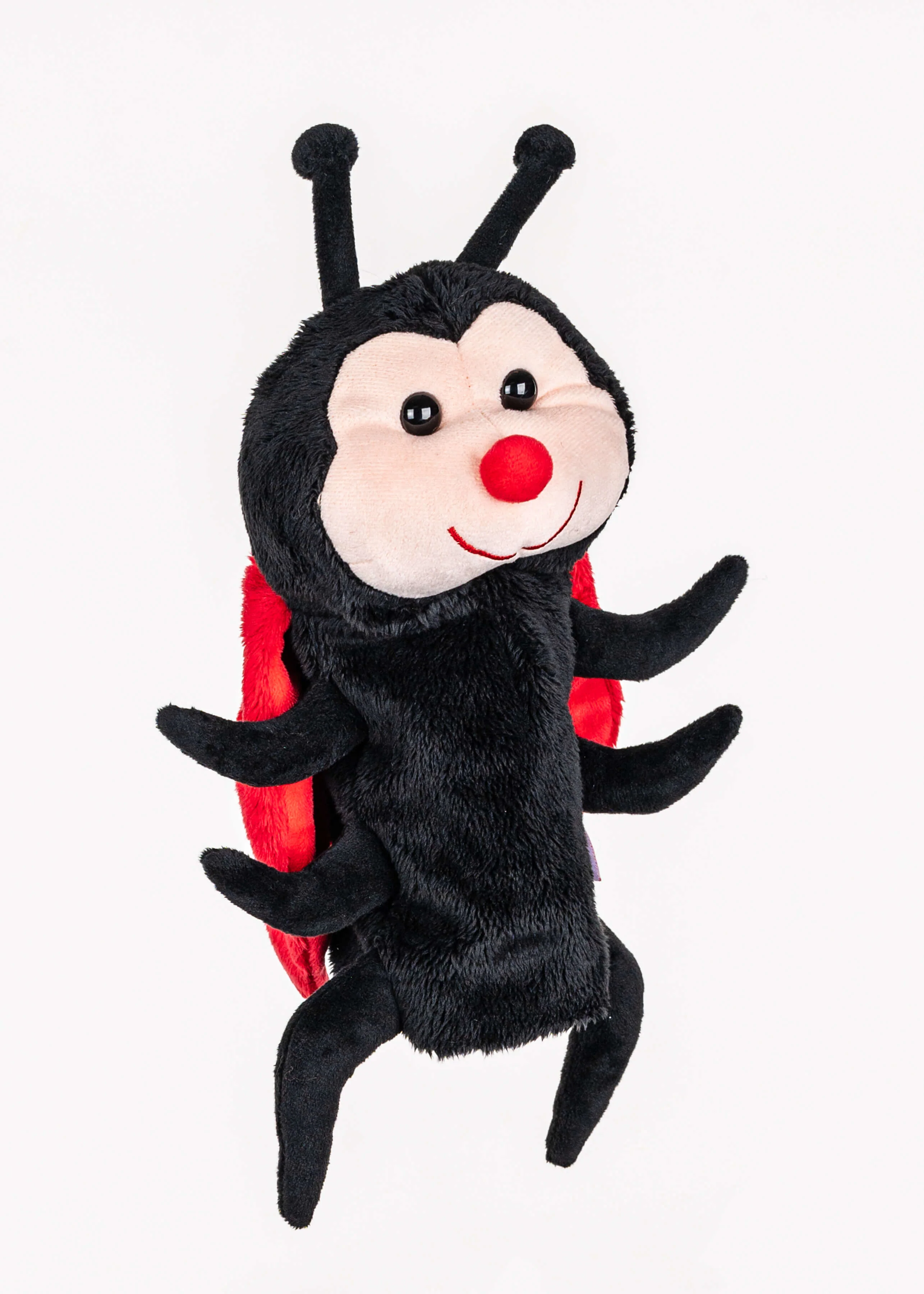 Ladybug Hybrid - Image 2