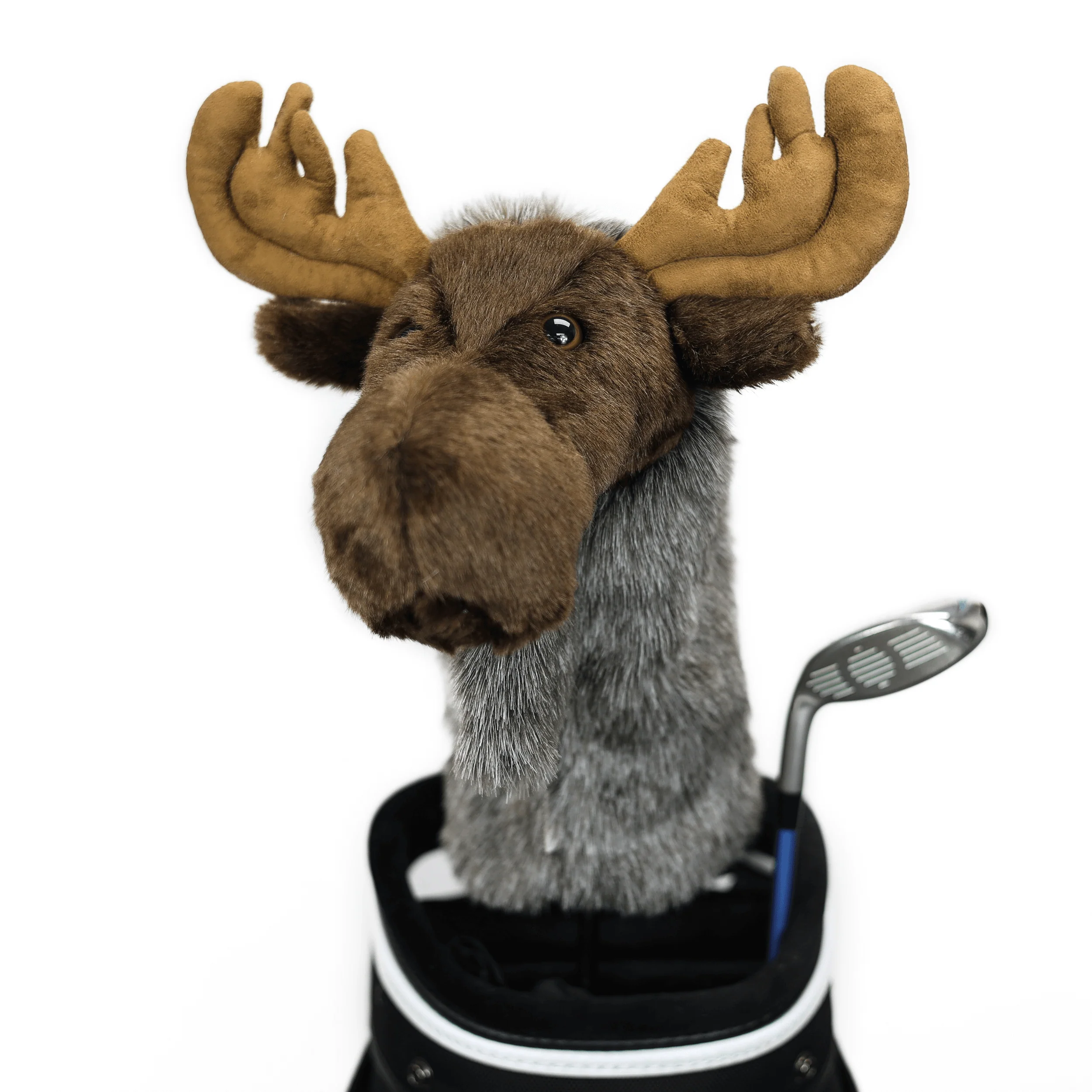 Moose - Image 3