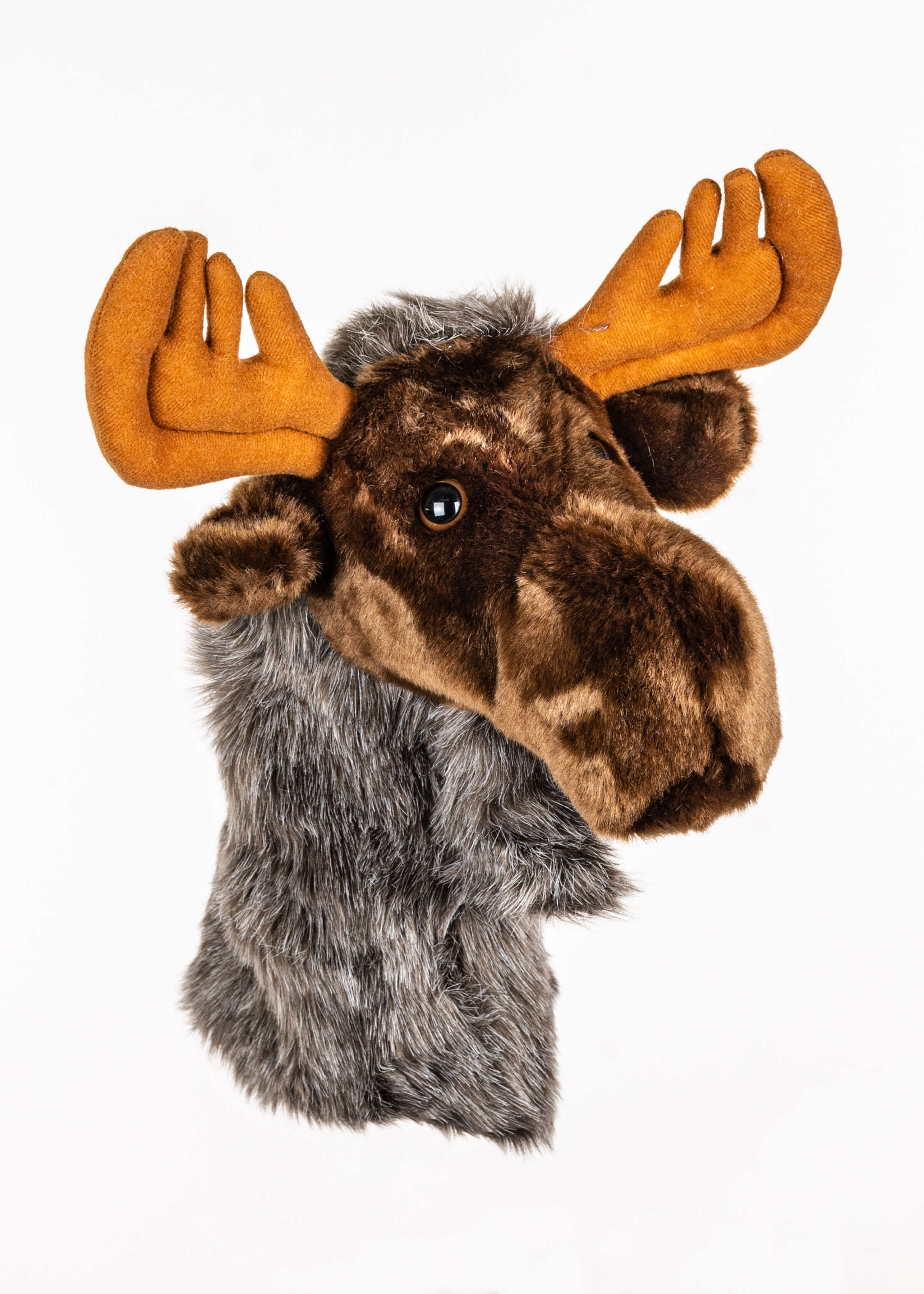 Moose - Image 4