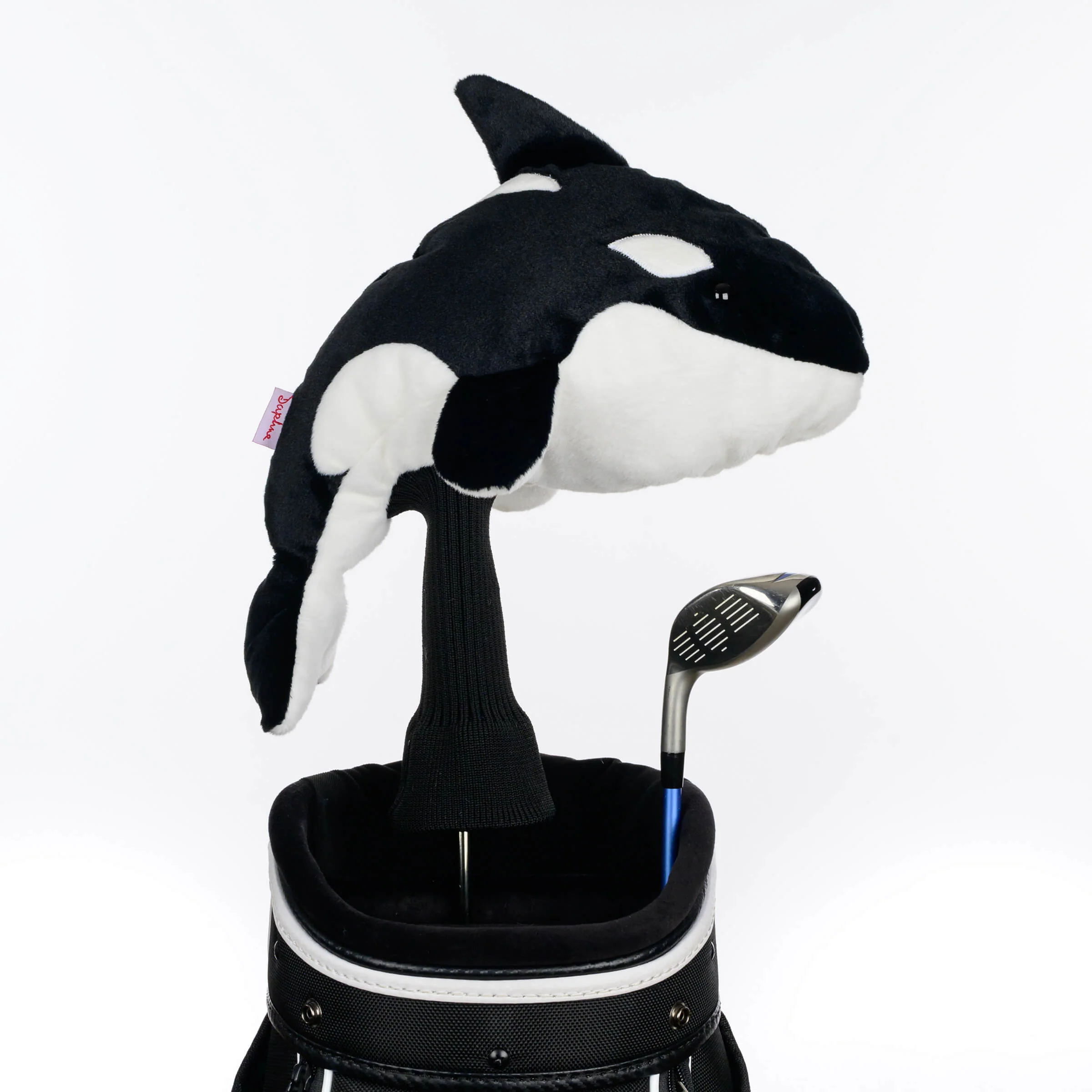 Orca - Image 3
