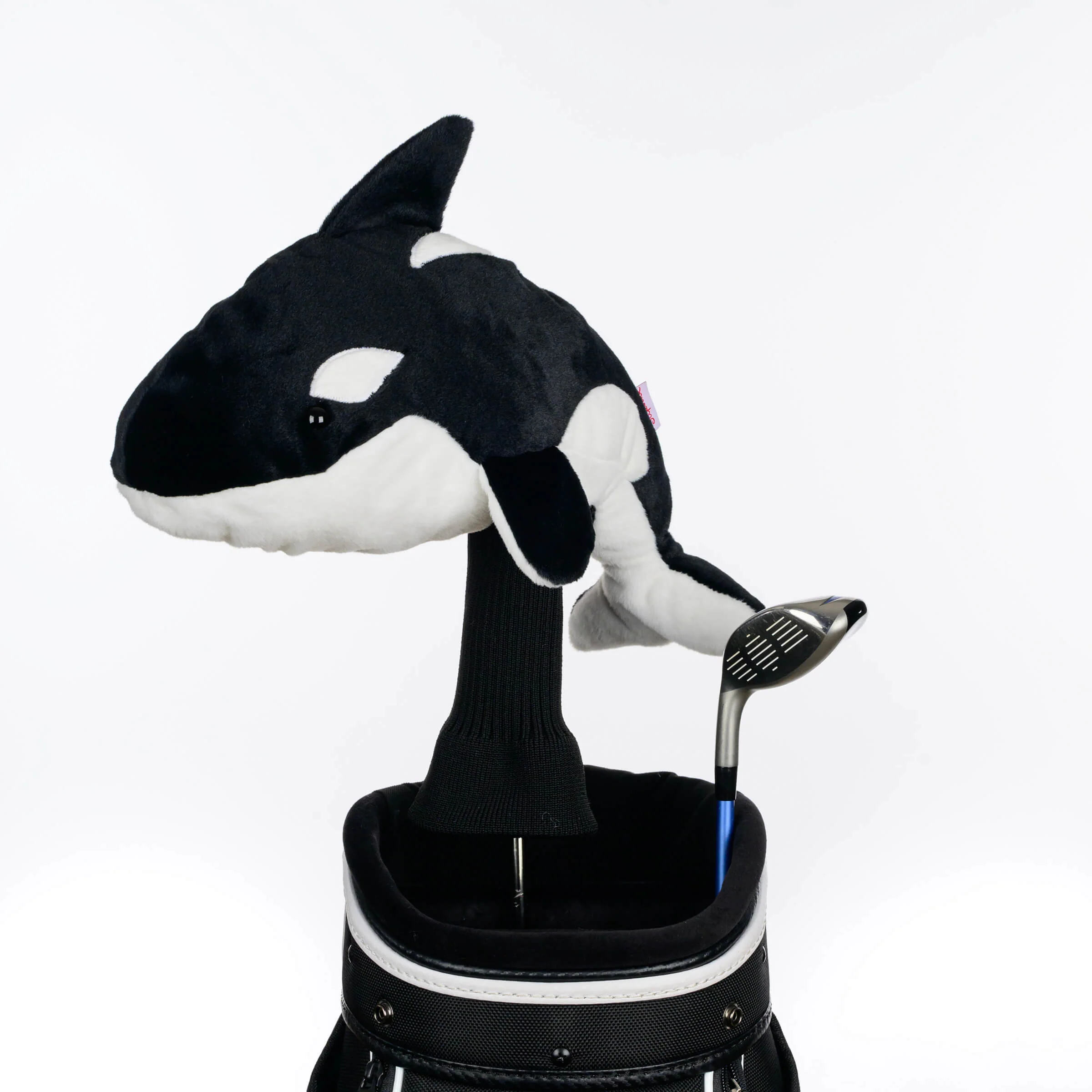 Orca - Image 4