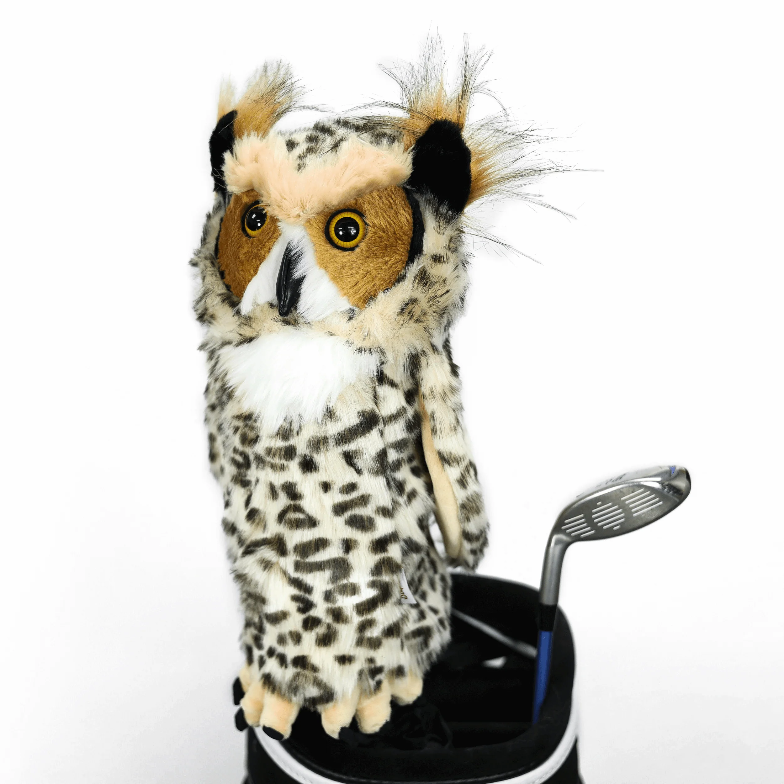 Owl - Image 3