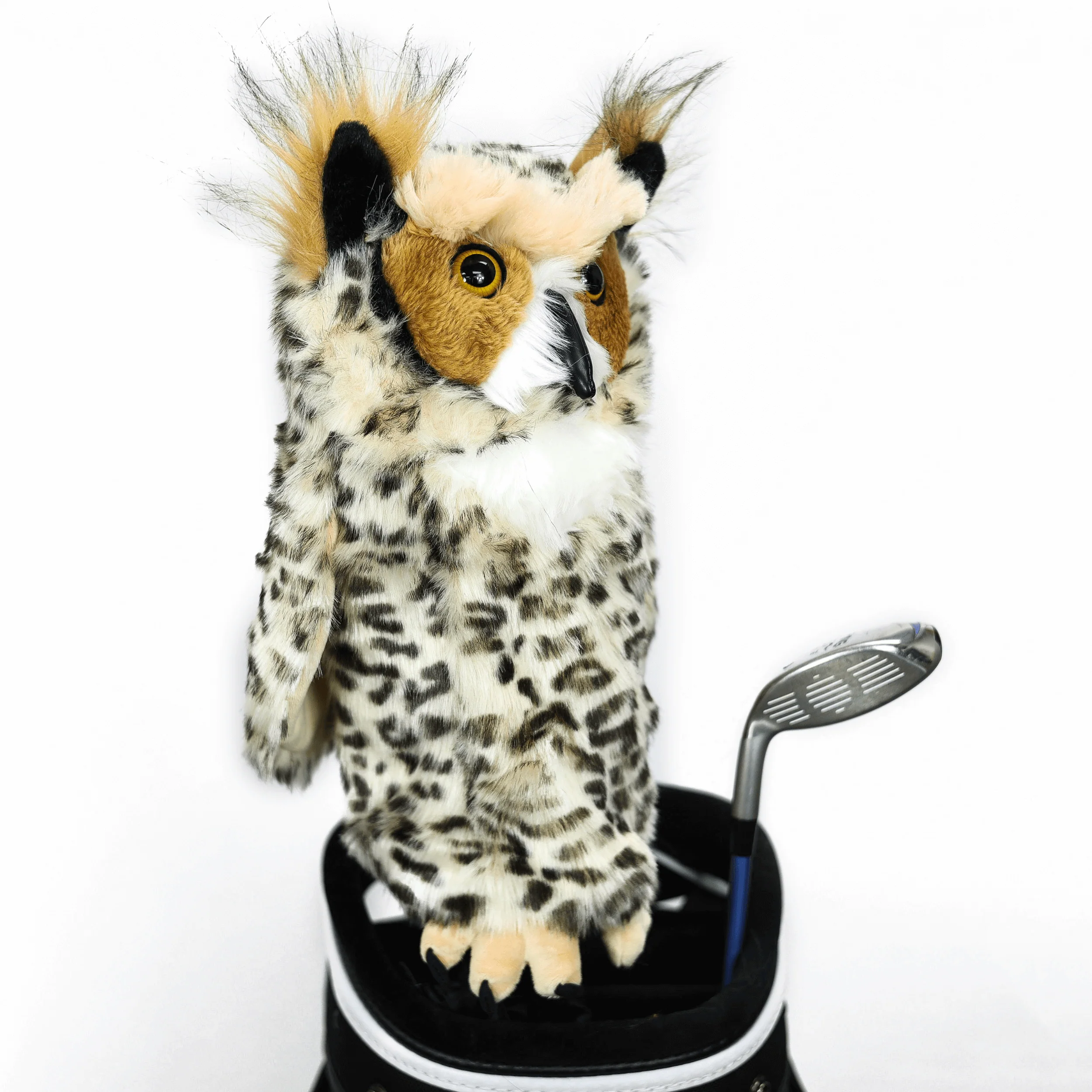 Owl - Image 4