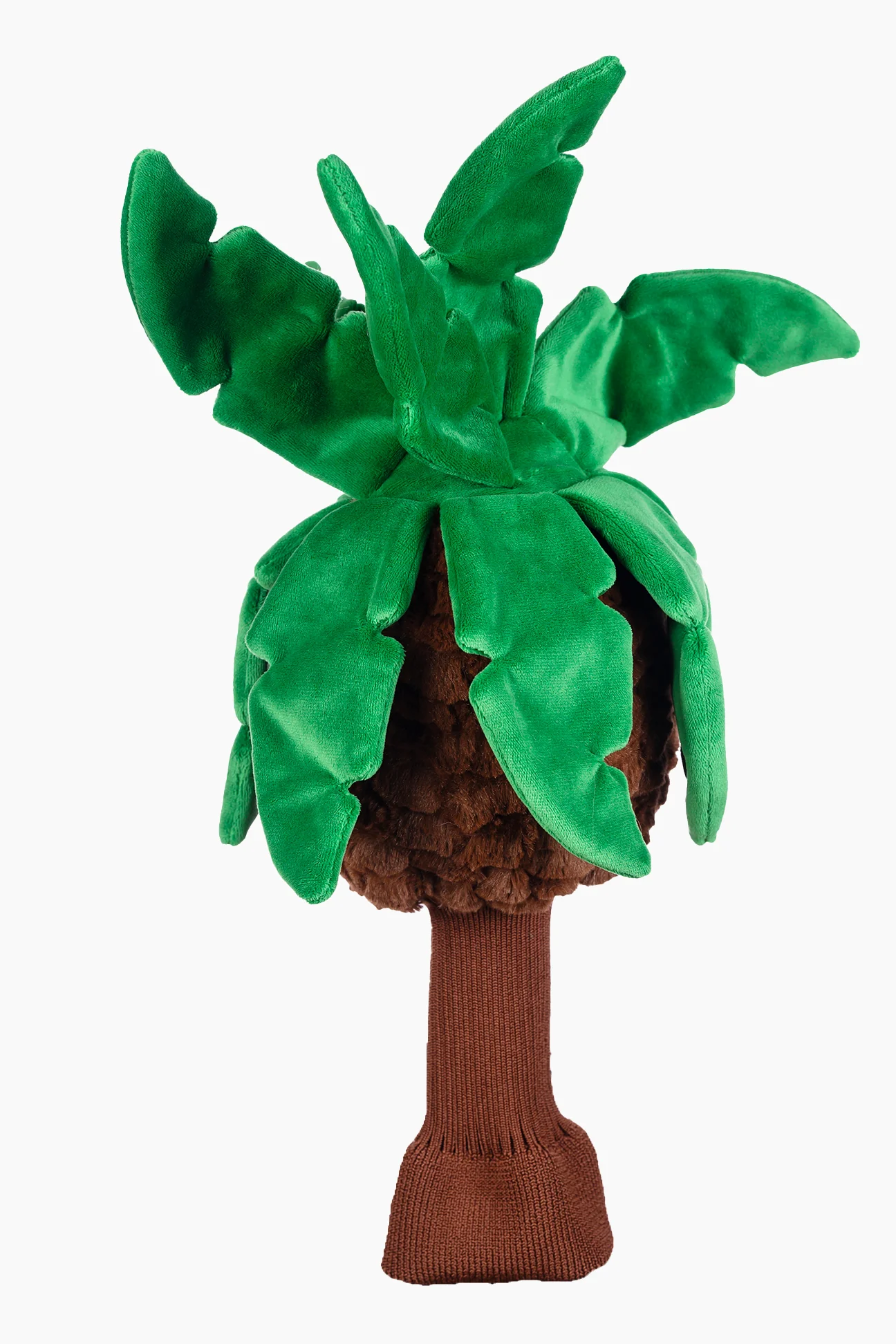 Palm Tree - Image 2