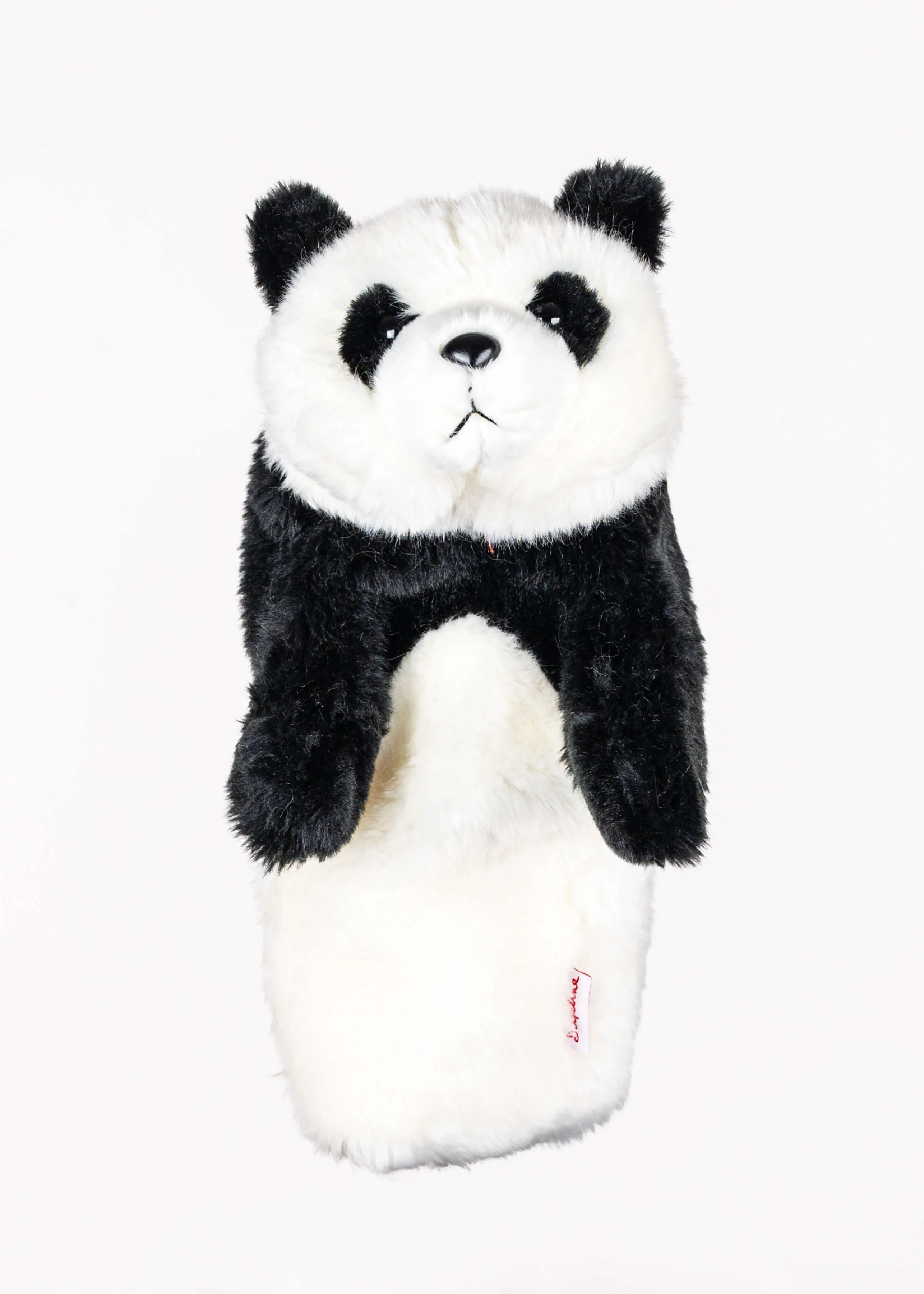 Panda - Image 2