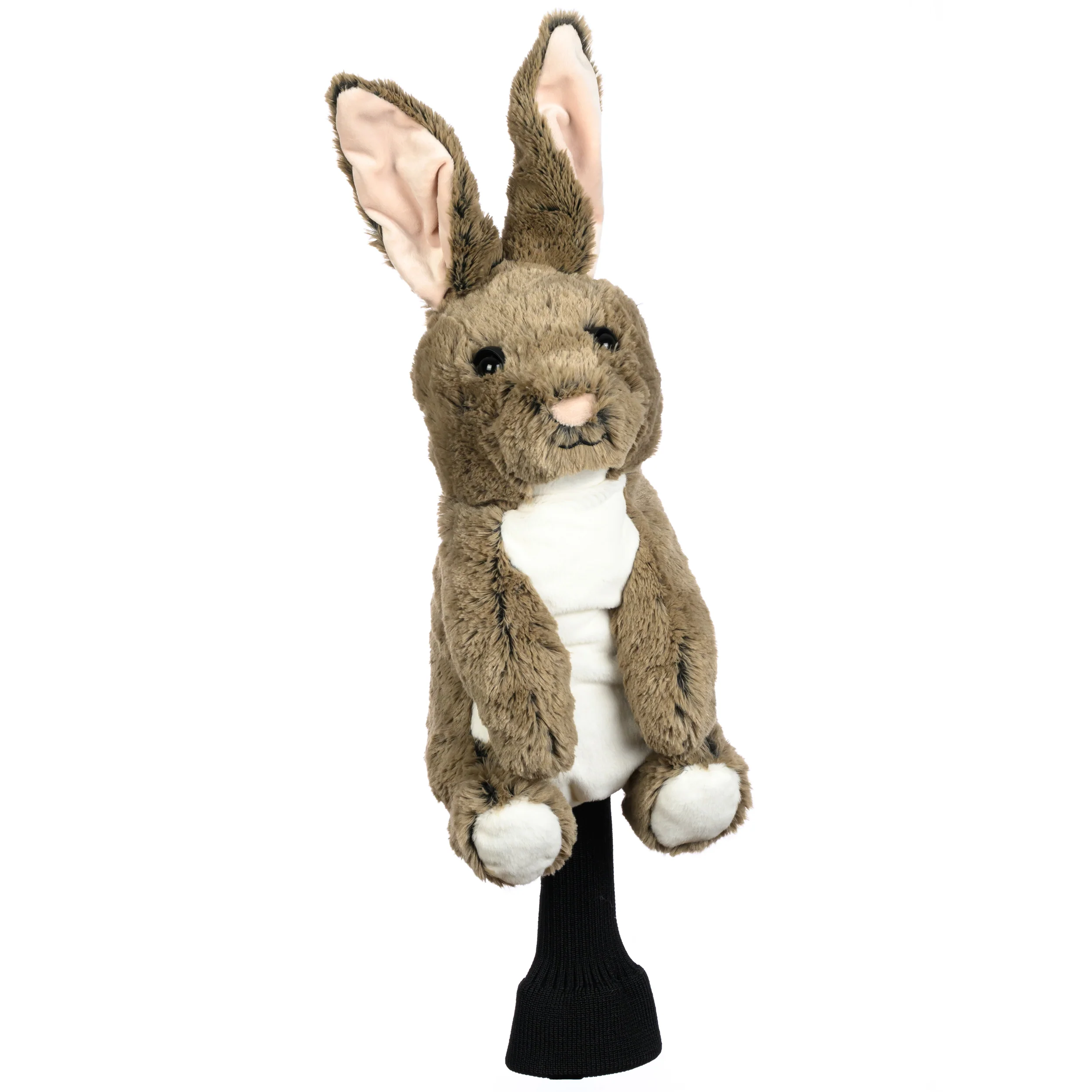 Rabbit - Image 2