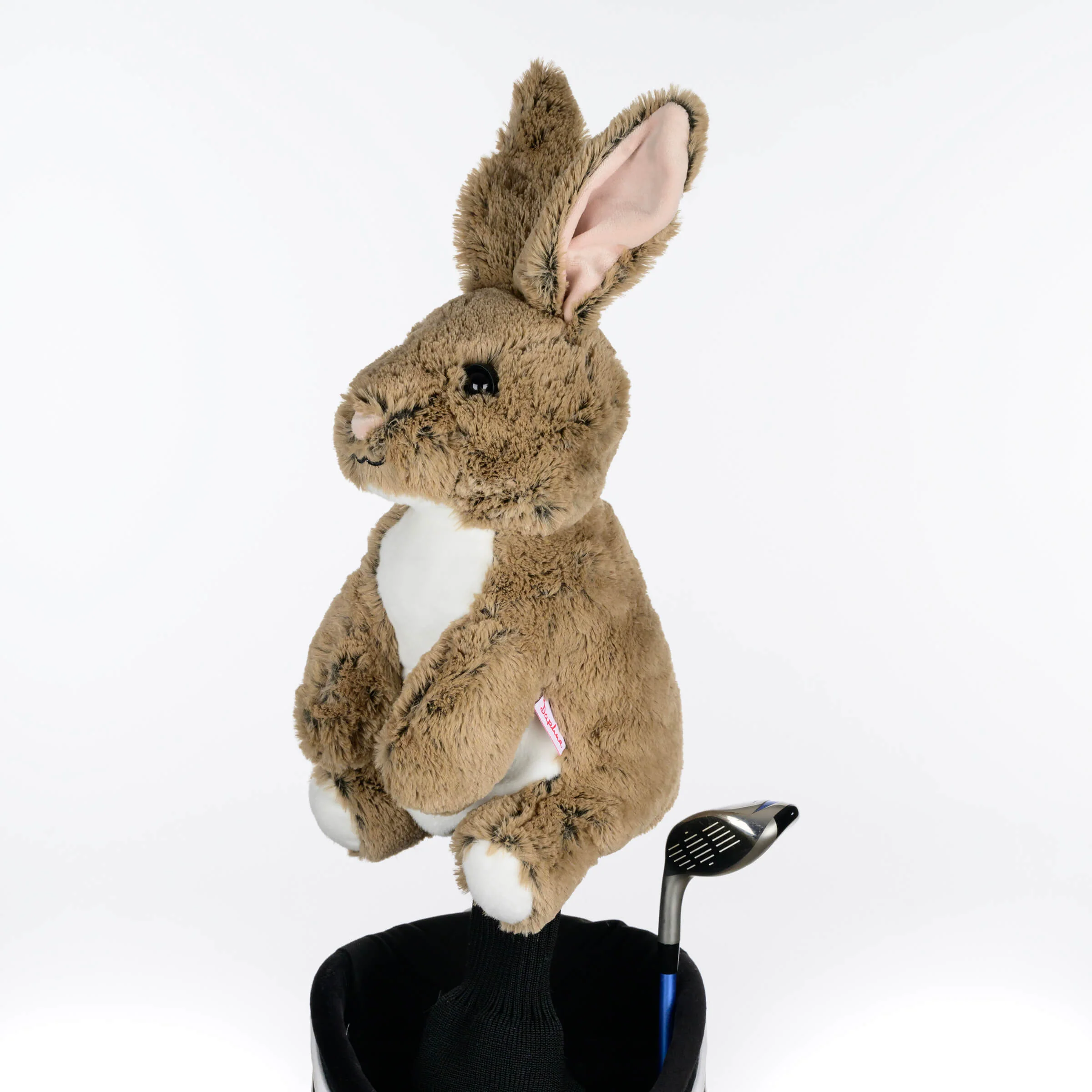 Rabbit - Image 3