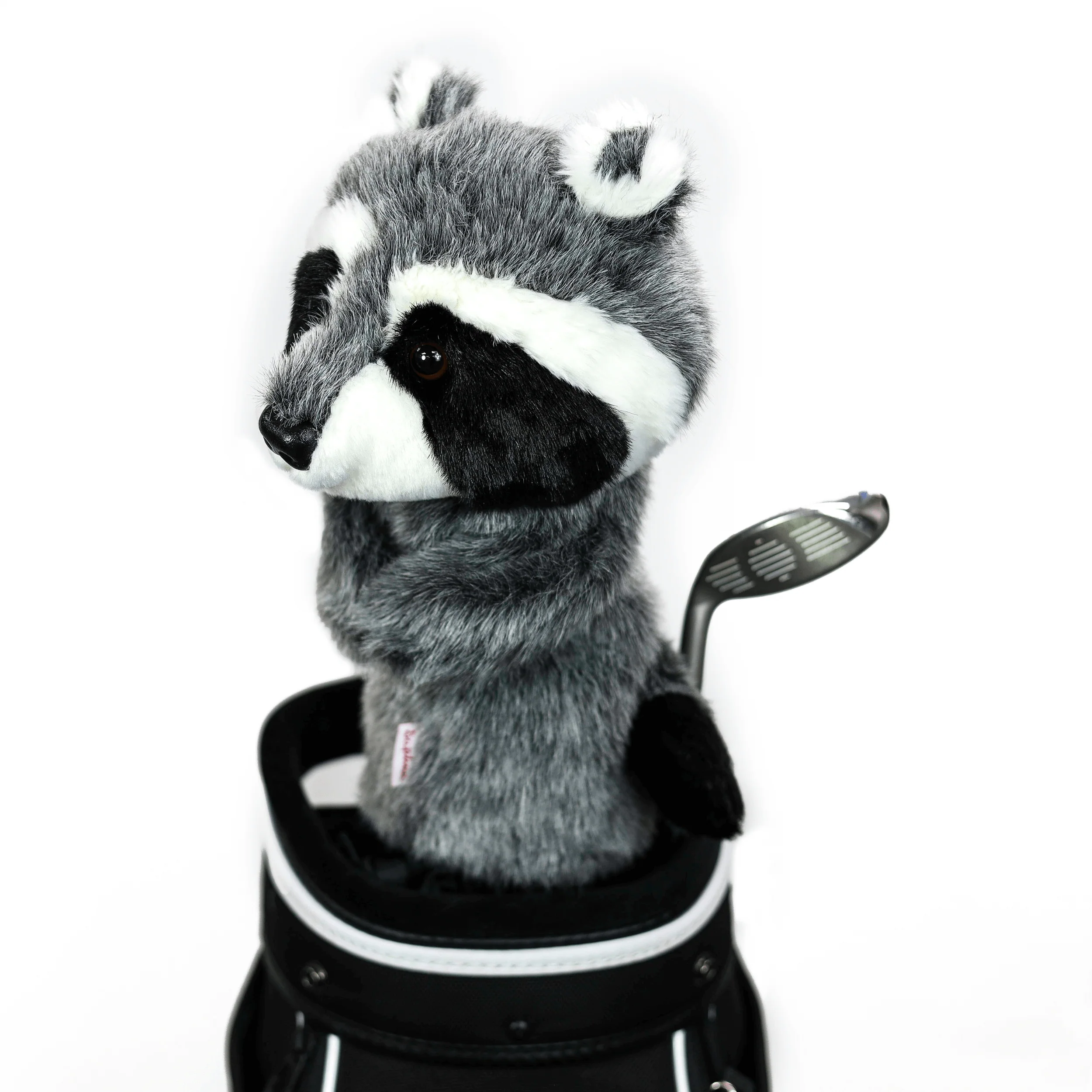 Raccoon - Image 3