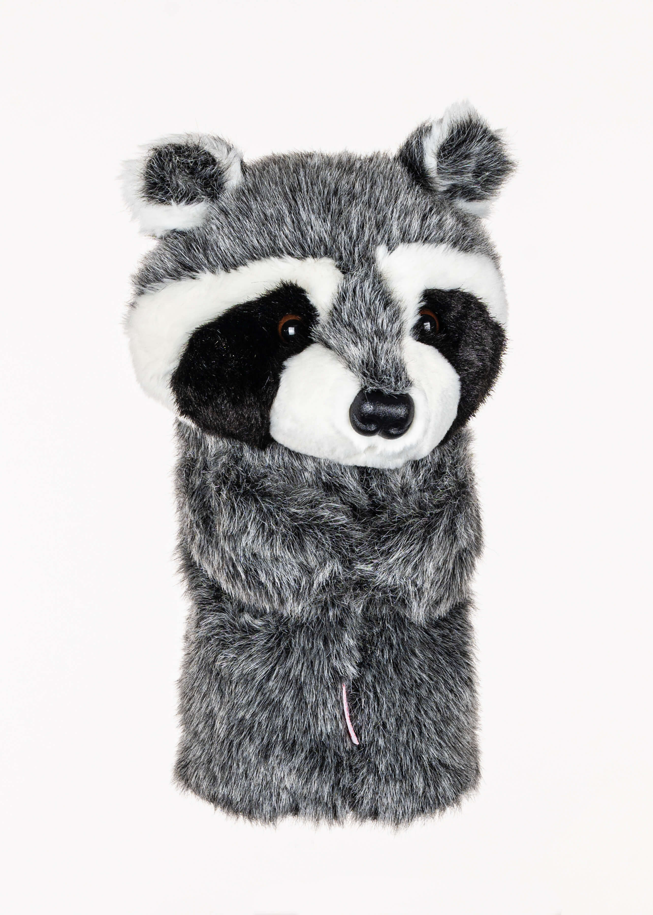 Raccoon - Image 4