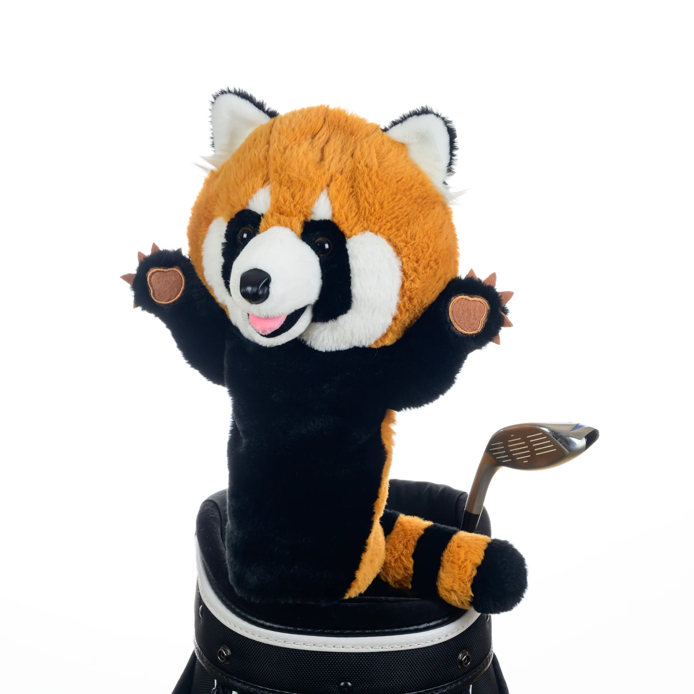 Red Panda - Image 4