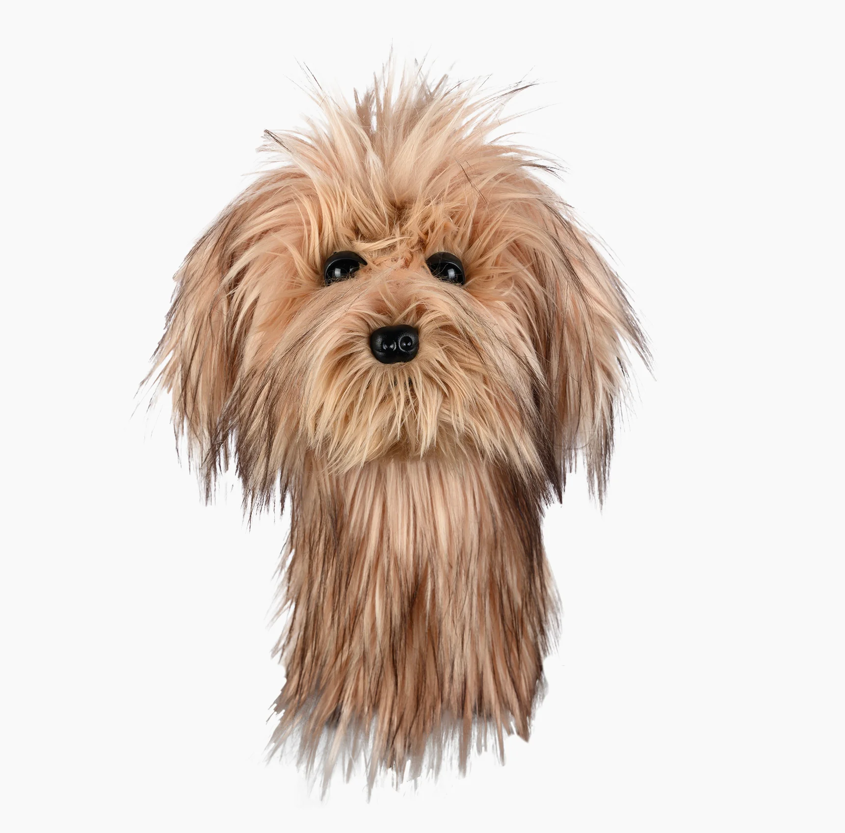 Scruffy Dog - Image 2