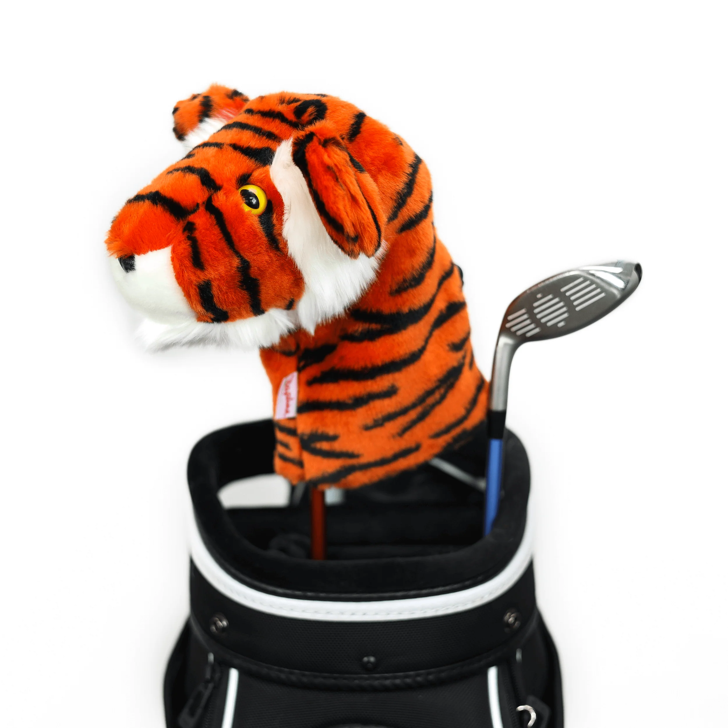 Tiger Hybrid - Image 2