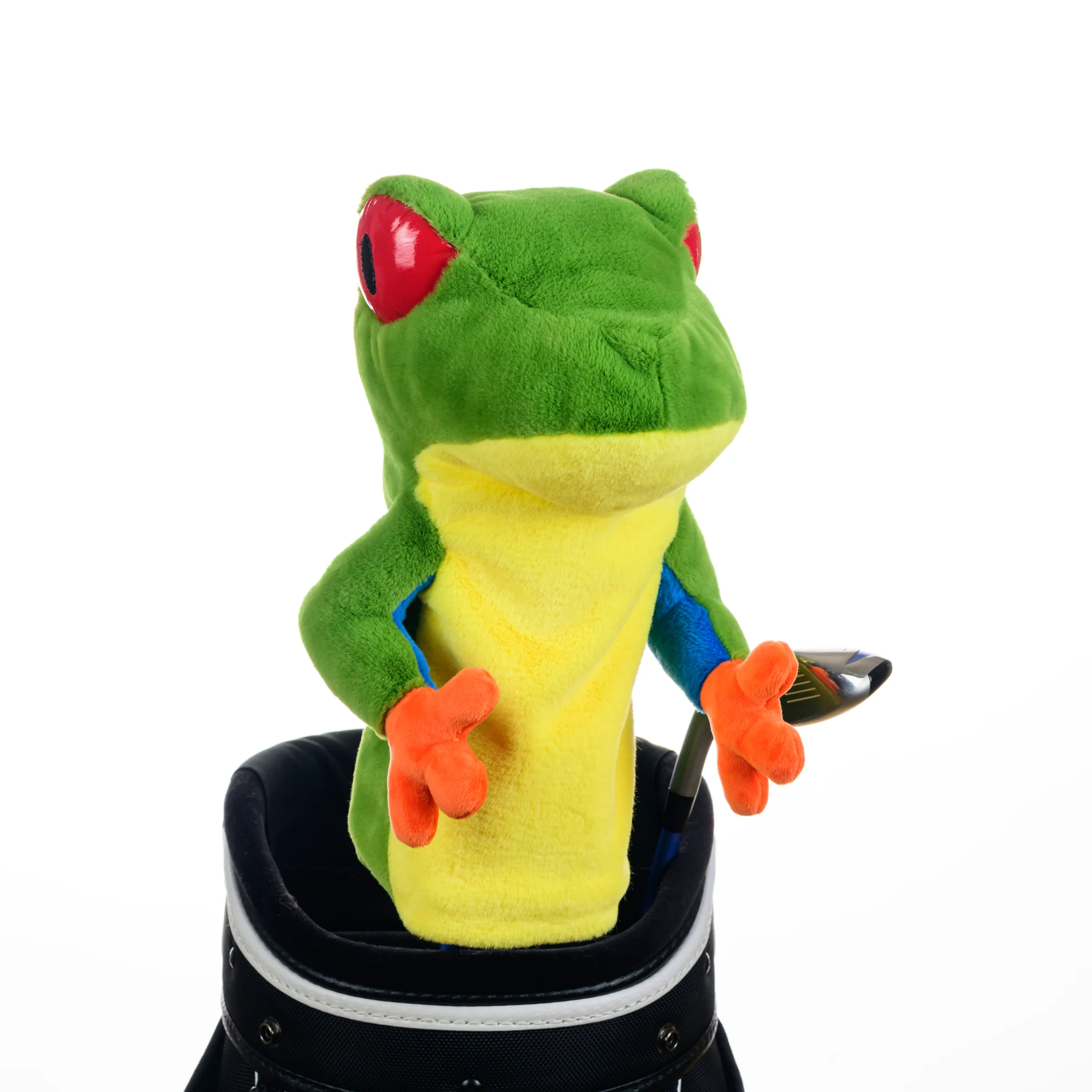 Tree Frog
