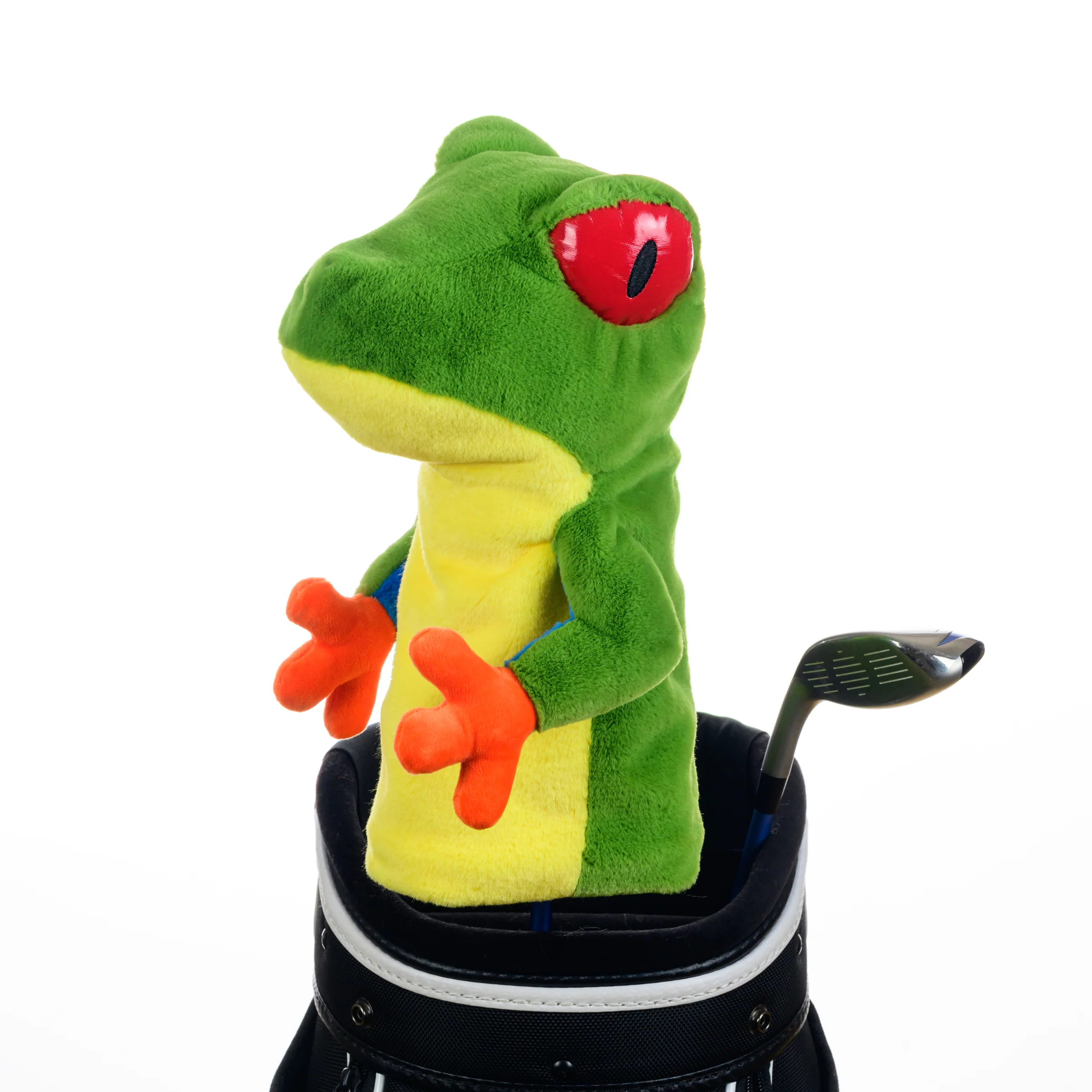 Tree Frog - Image 3