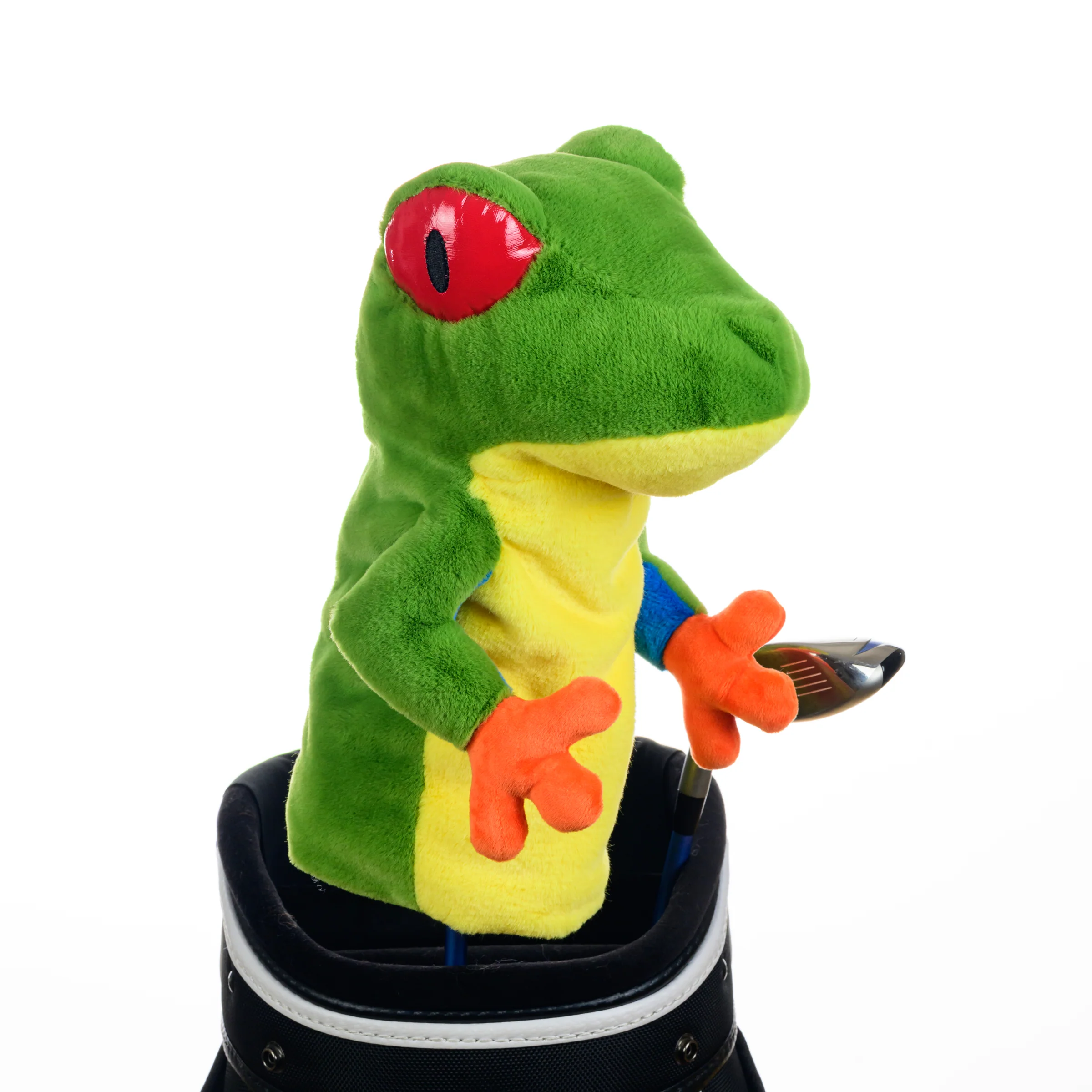 Tree Frog - Image 4